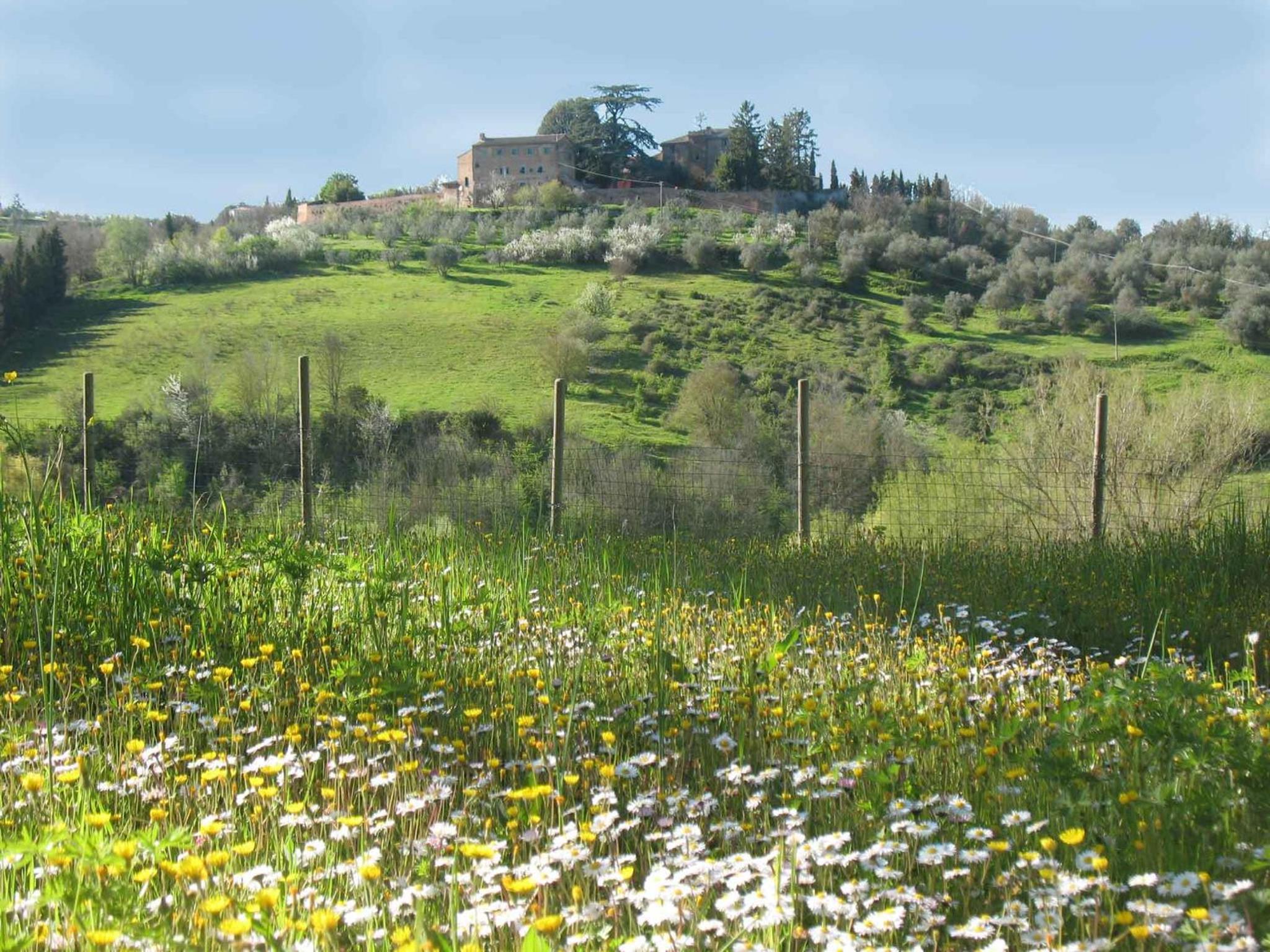 Agriturismo La Torretta