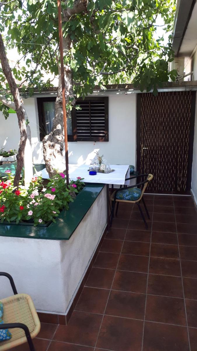 Photo 7