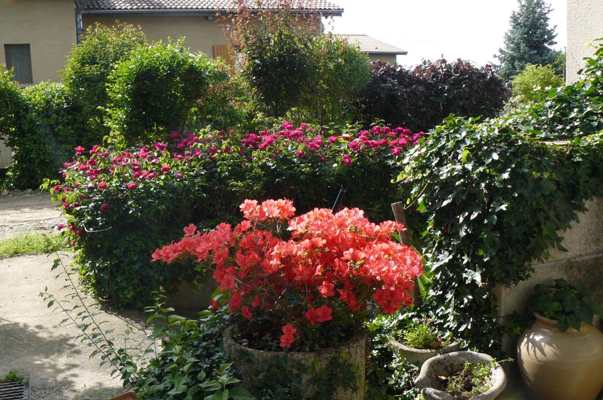 Au thé à la menthe, photo 9
