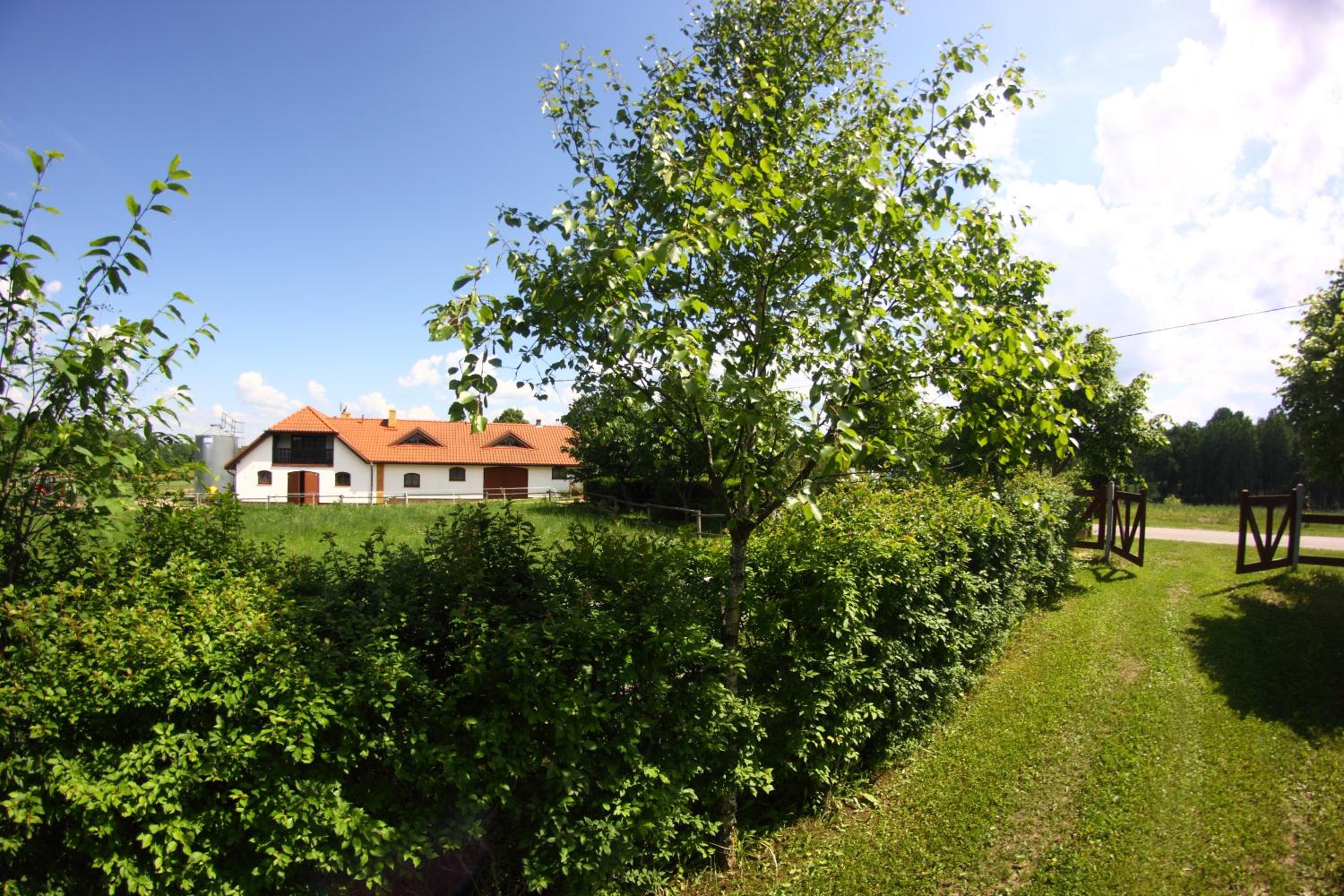 Photo 26
