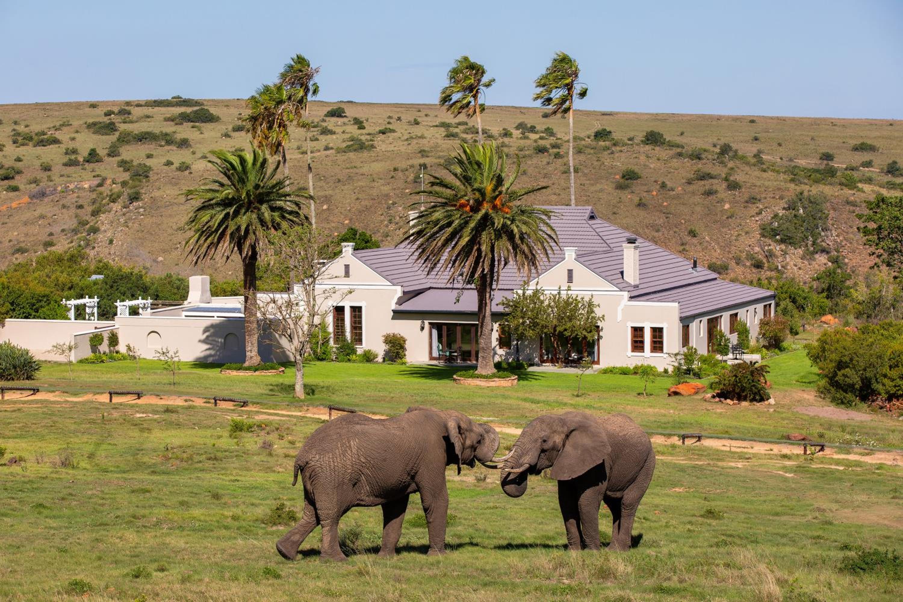 Lalibela Wildlife Reserve - Mills Manor view 2