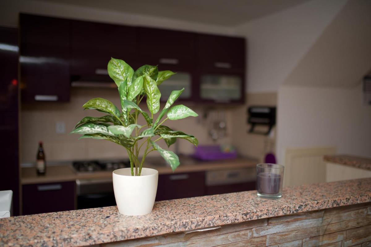 Apartment Alen view 3