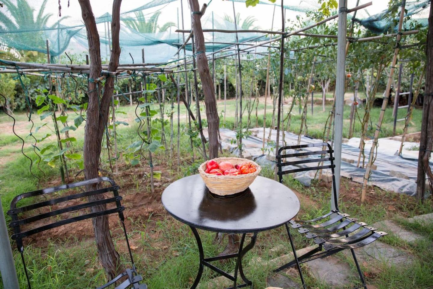 Luxury Country House in Kalamata / SP view 3