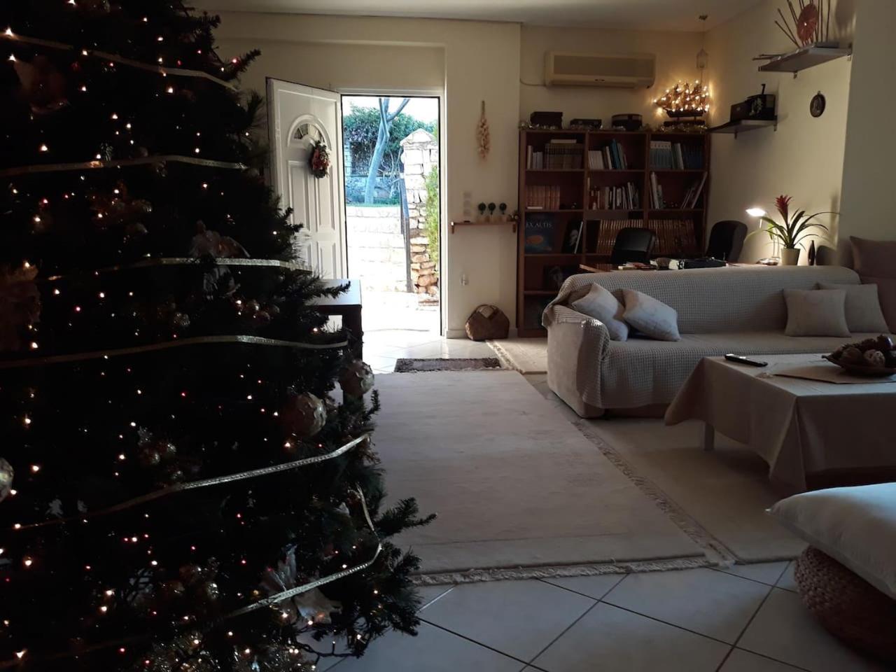 Photo 46