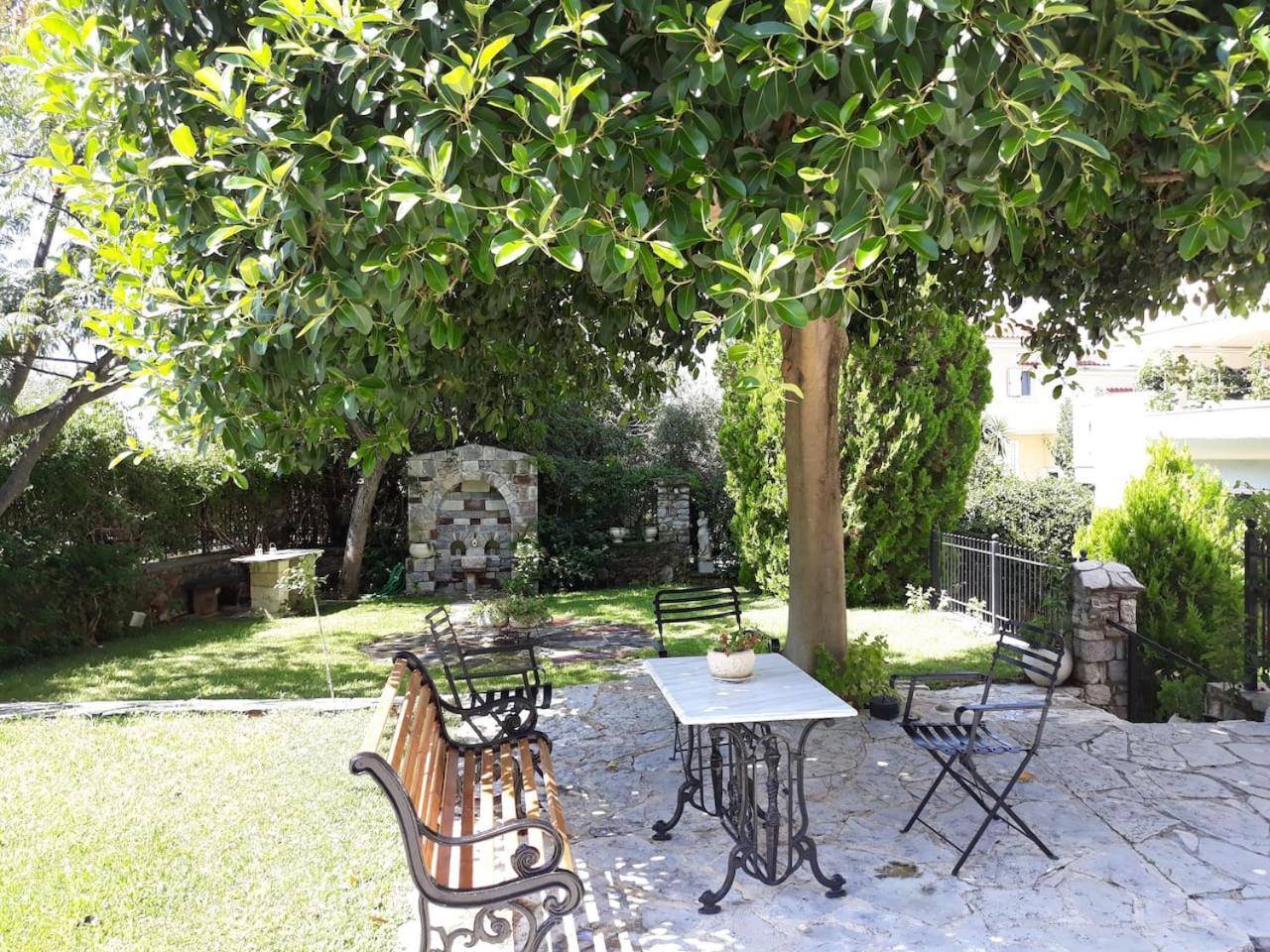 Photo 11
