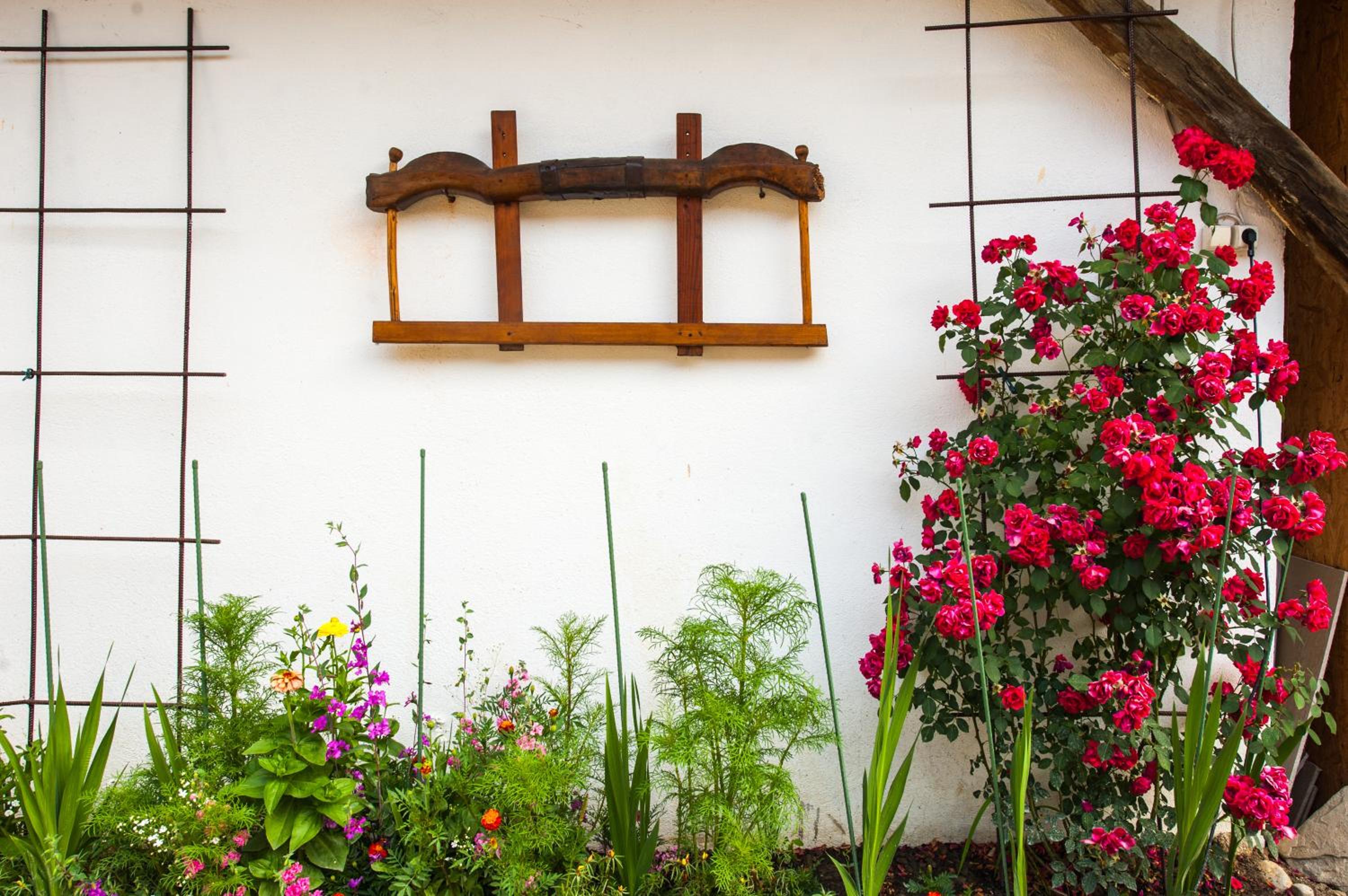 Pension Cartref
