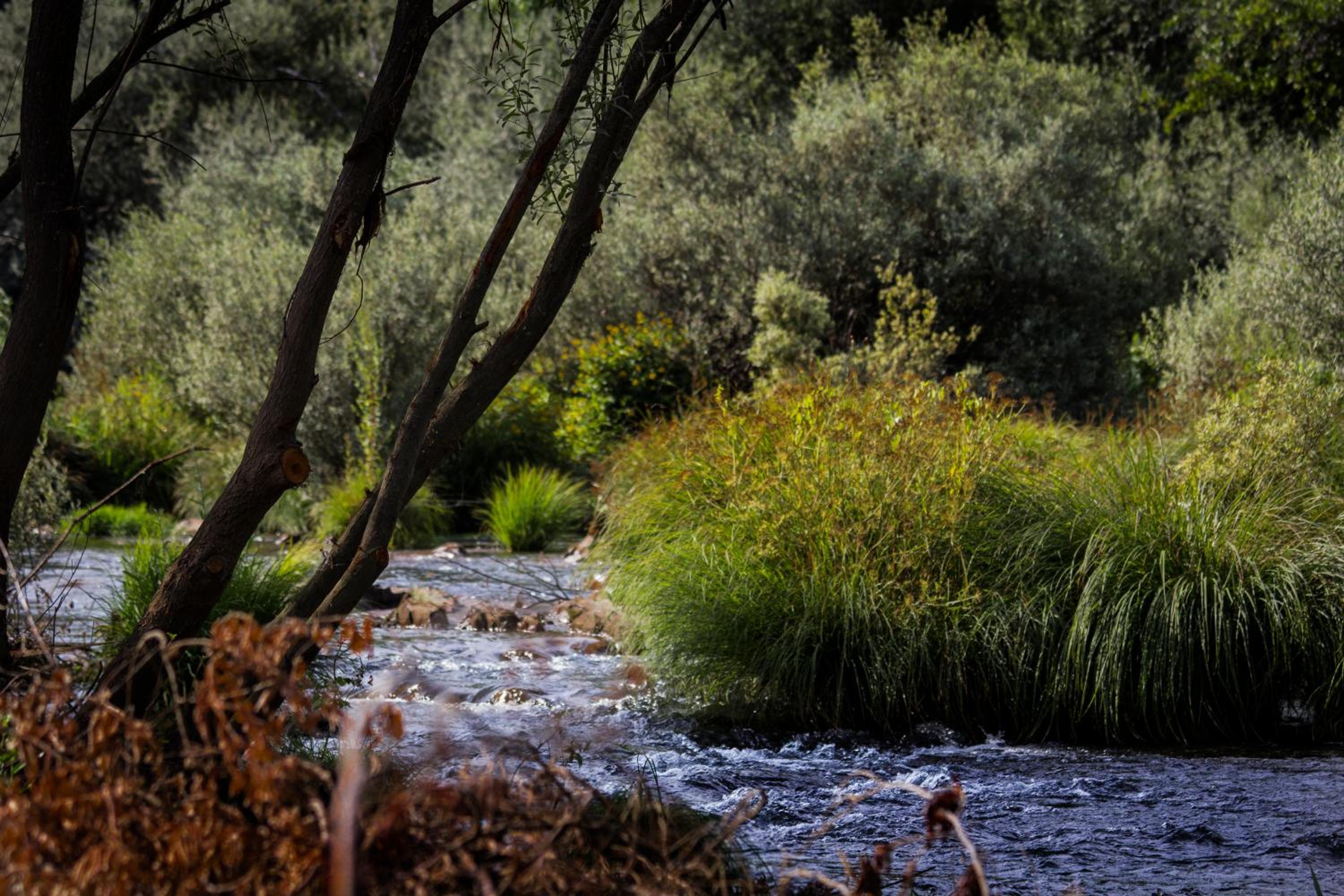 other