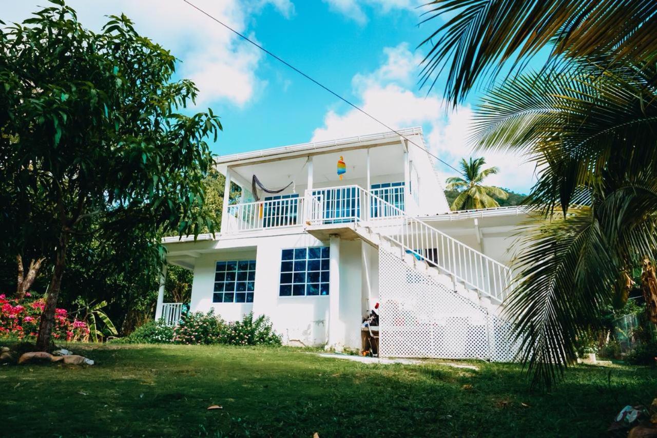 Posada Mango Tree view 3