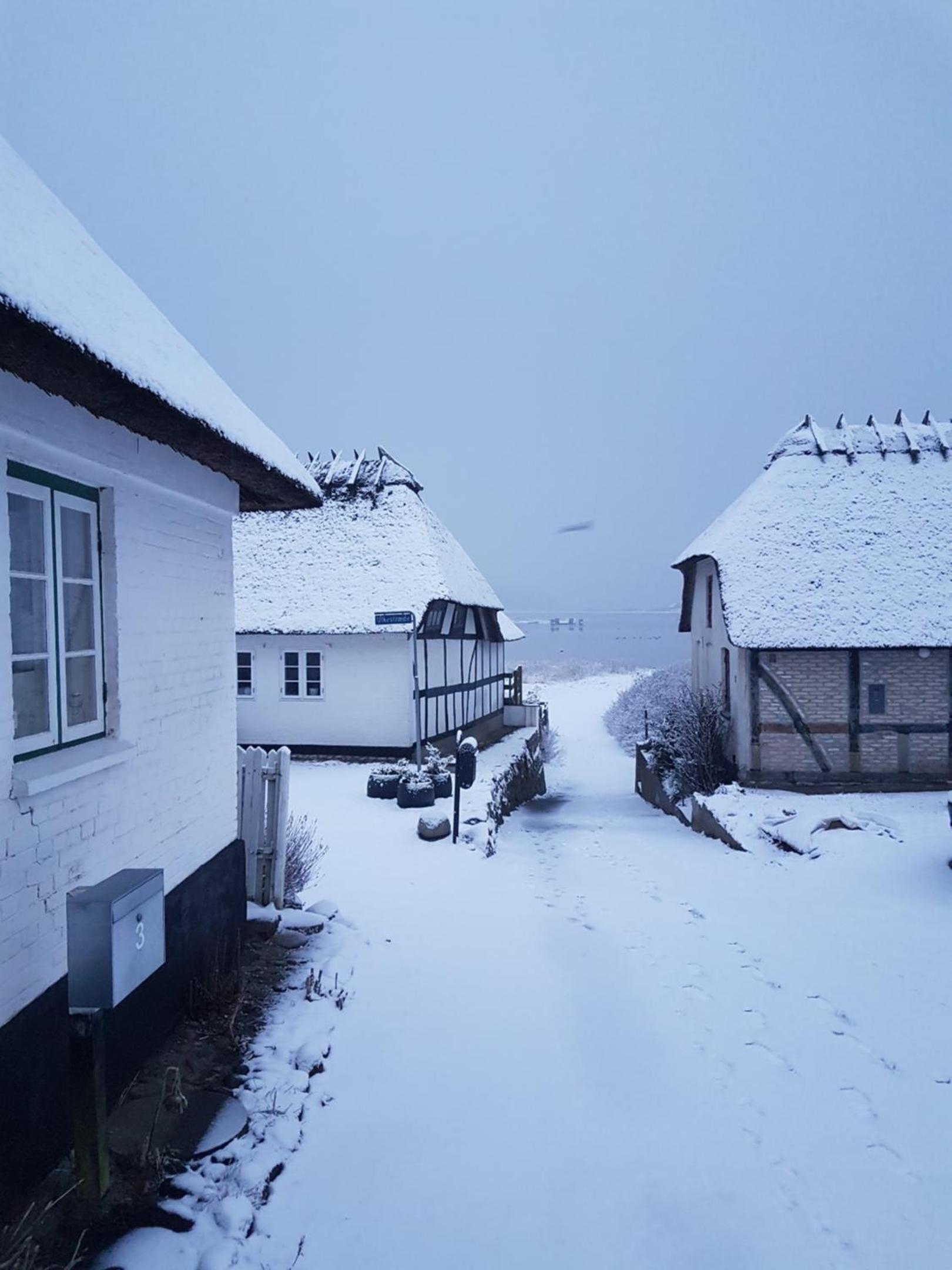 Tinyhouse Thorøhuse, photo 7