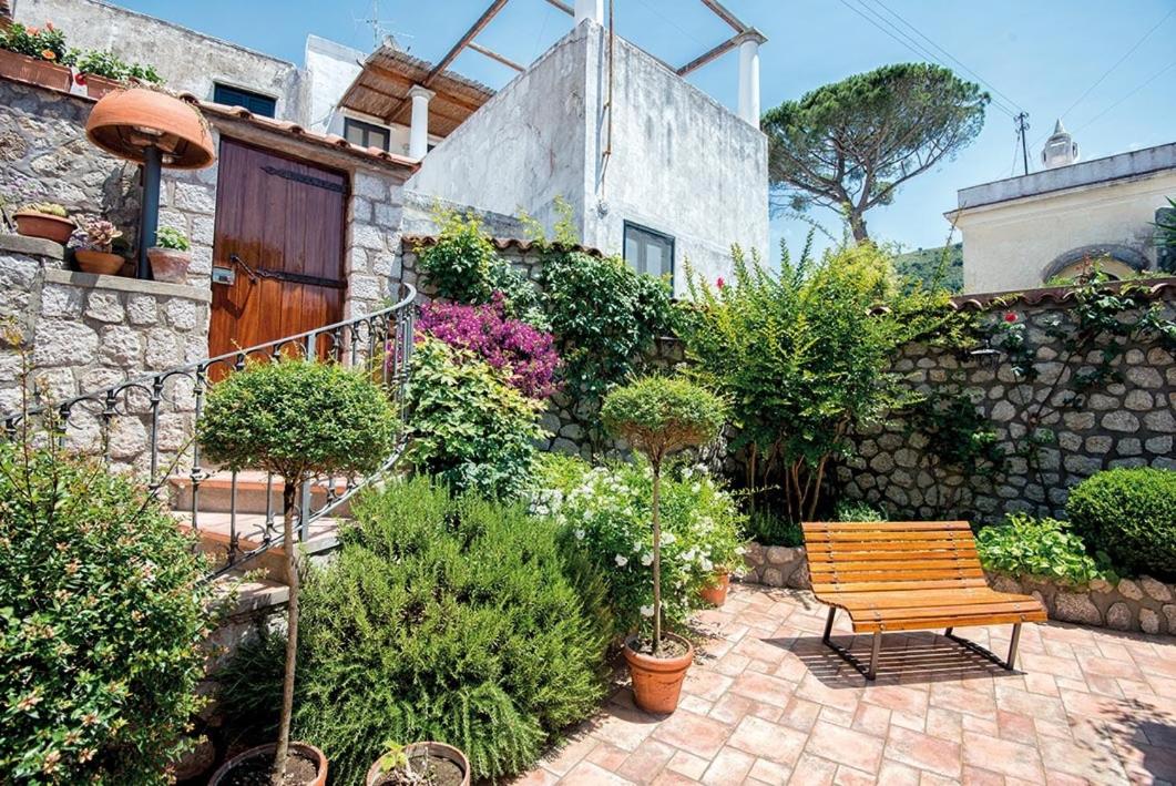 B&B Il Vicolo photo 3