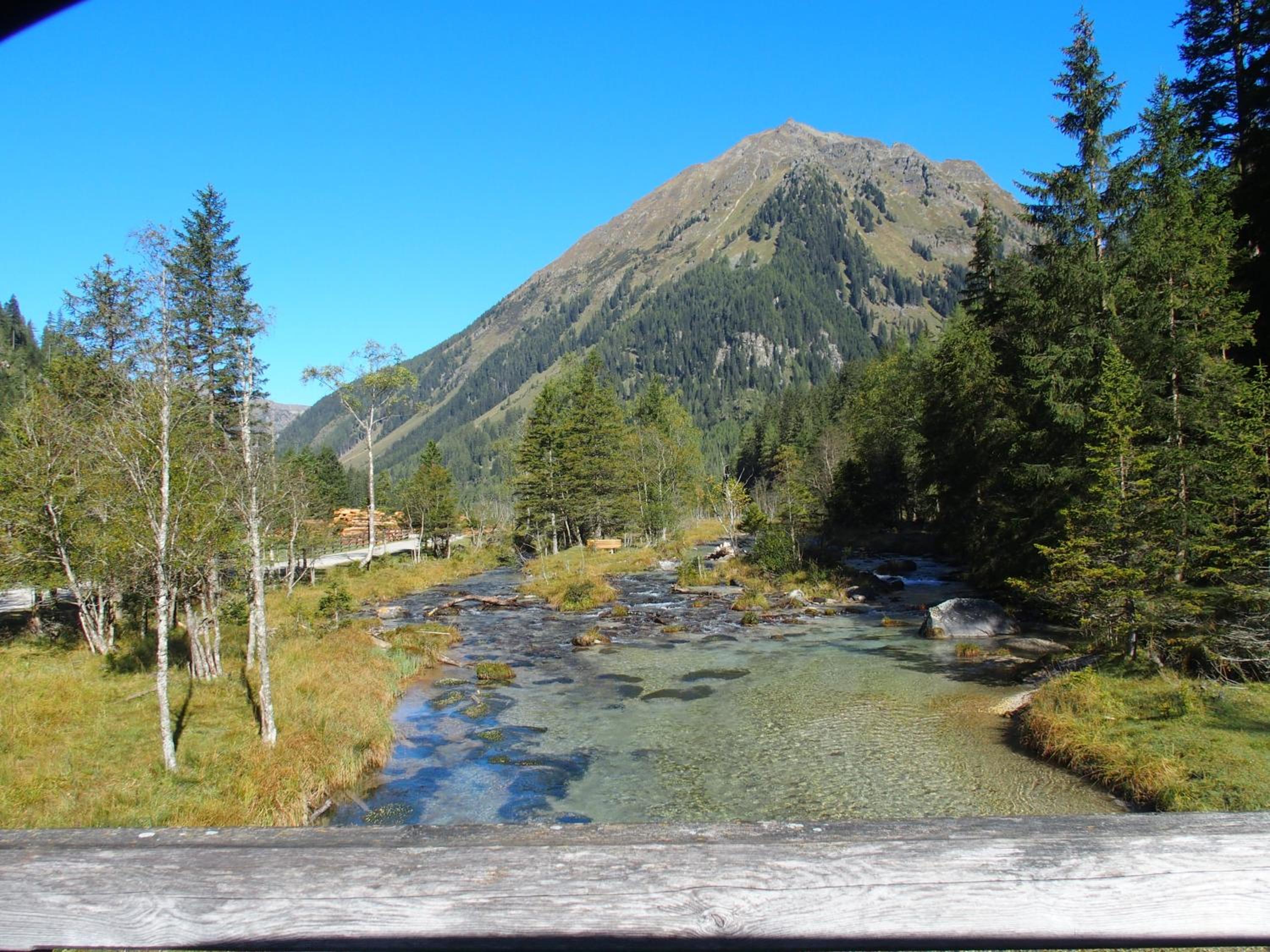 Dorfergut
