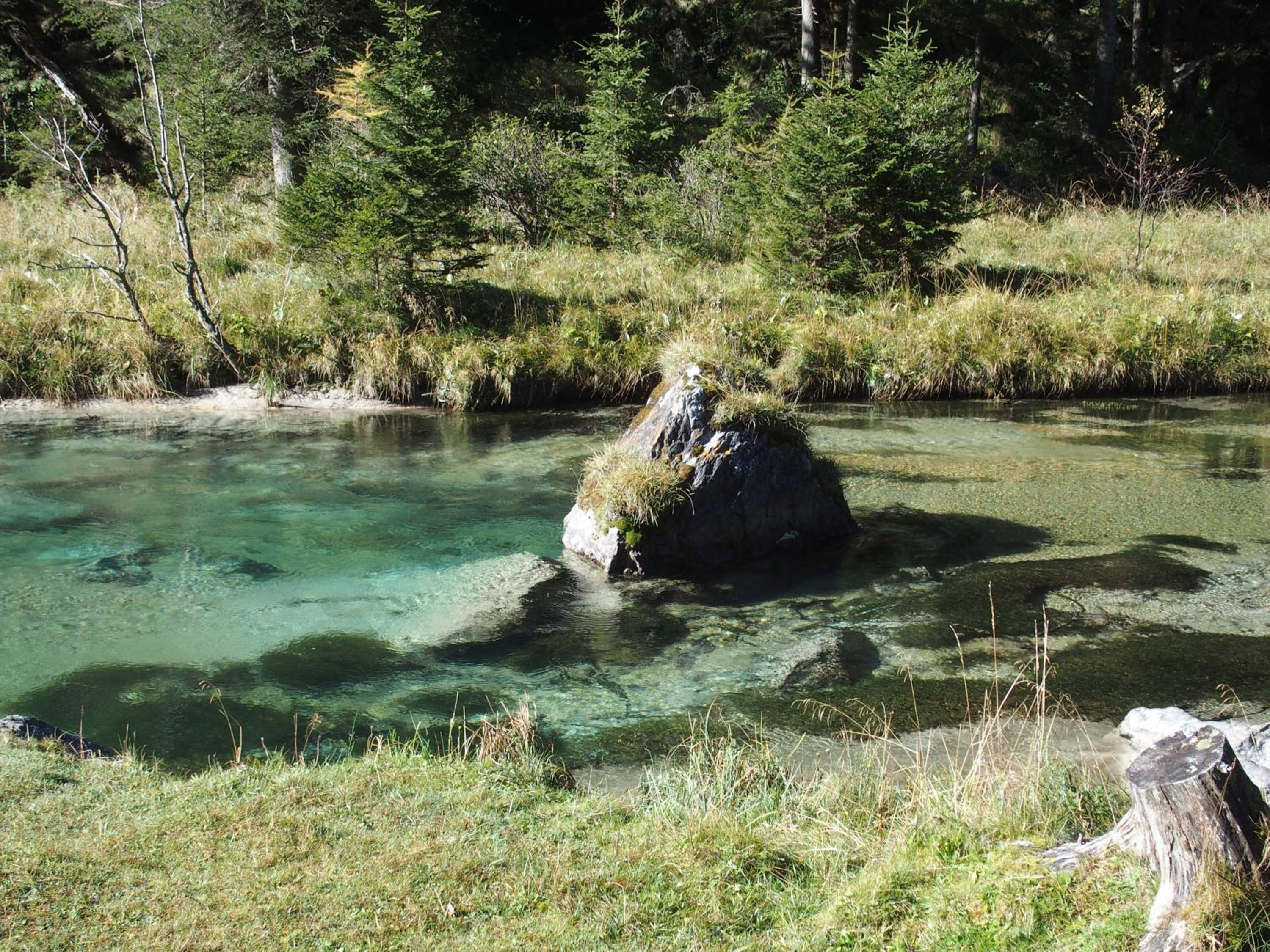 Dorfergut