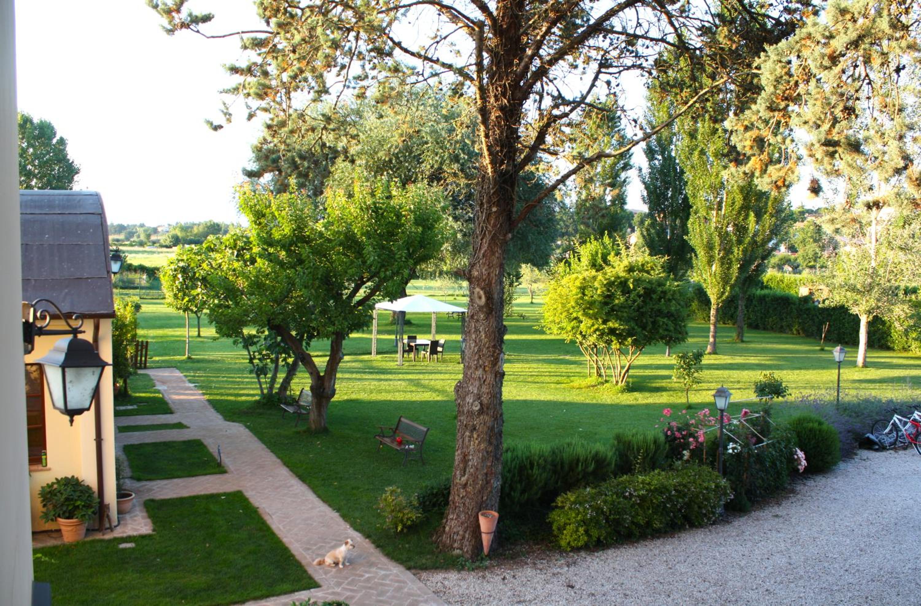 Photo 47