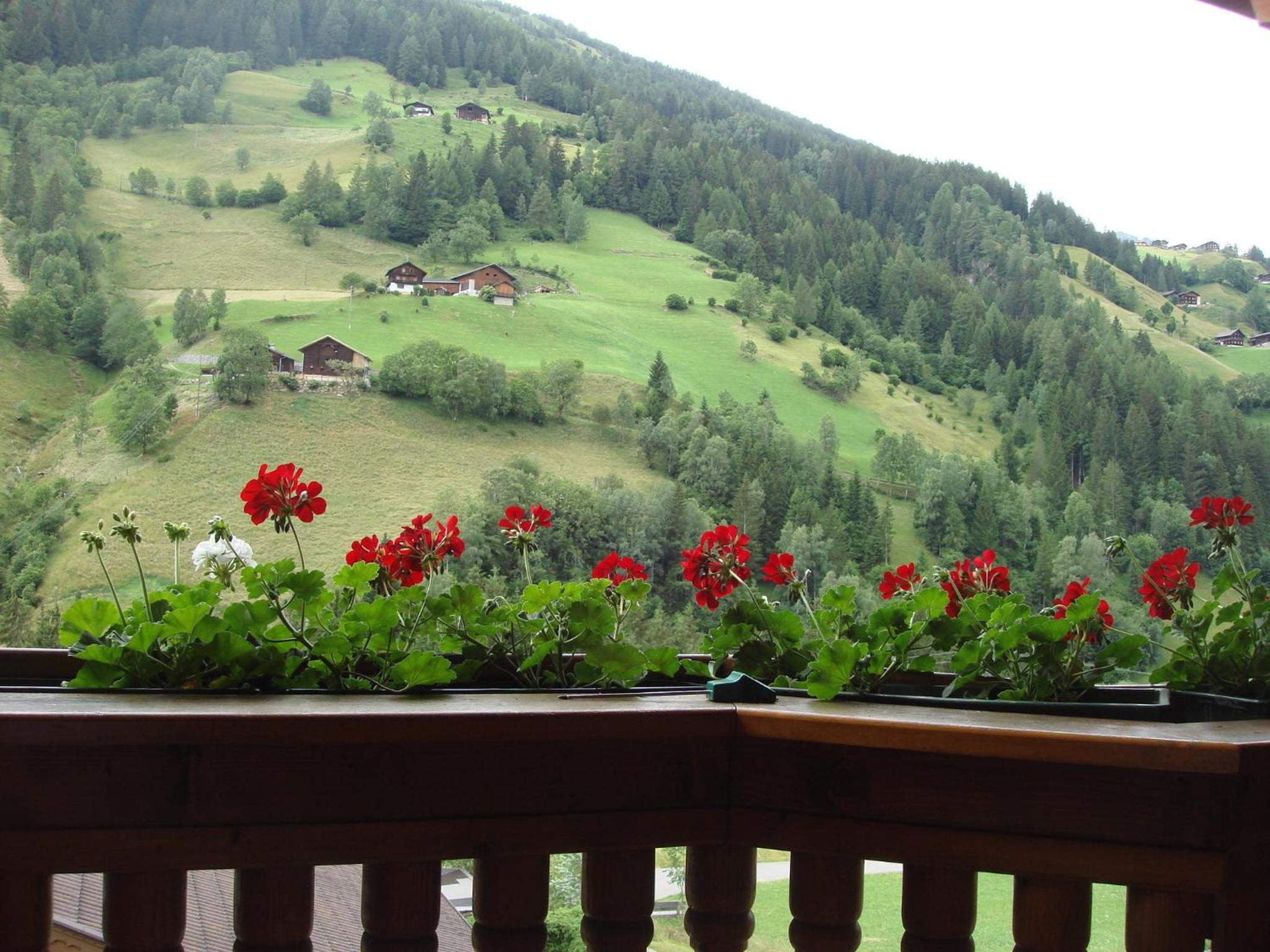 Landhaus Schober Apartments