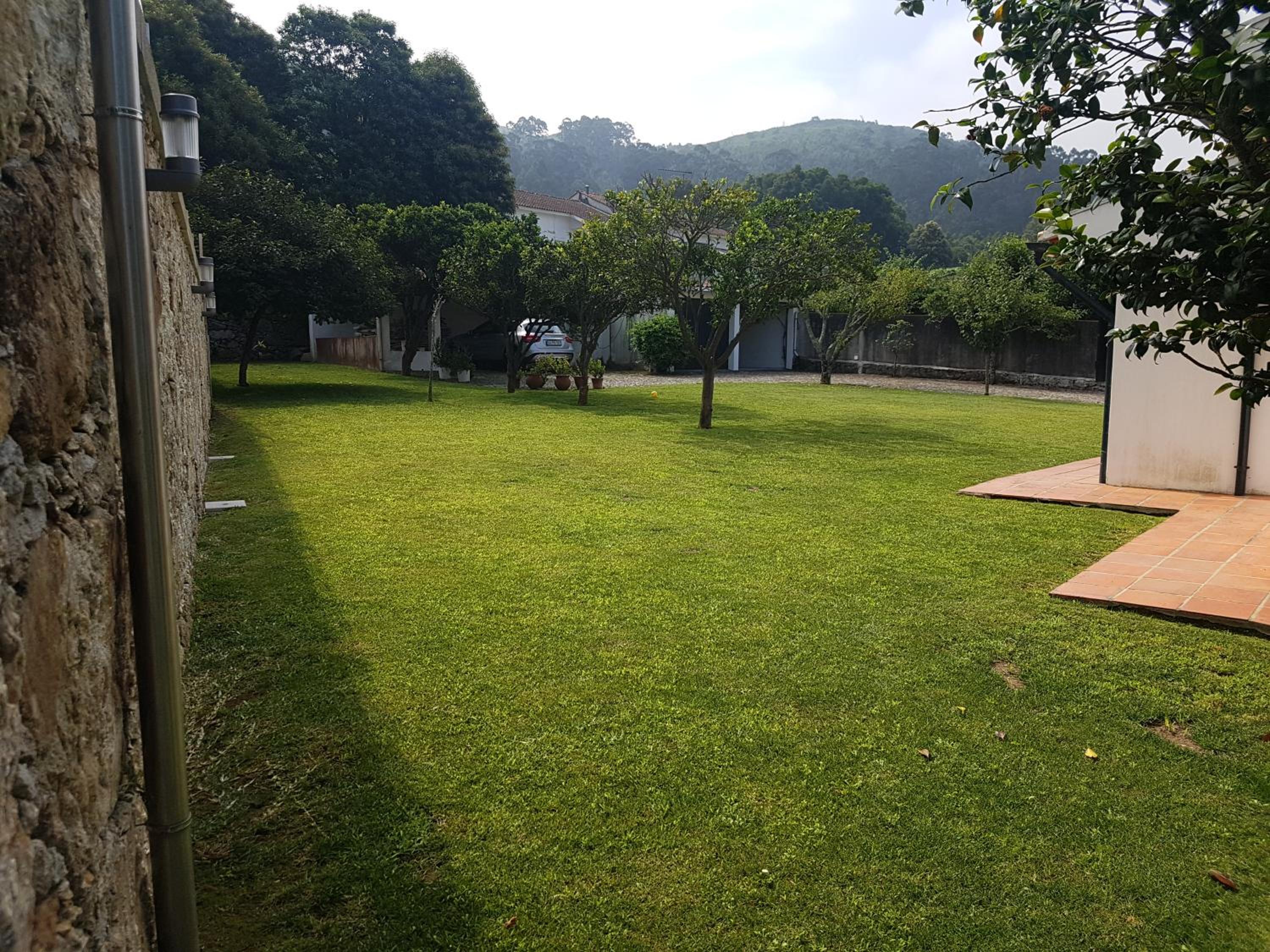 Photo 49