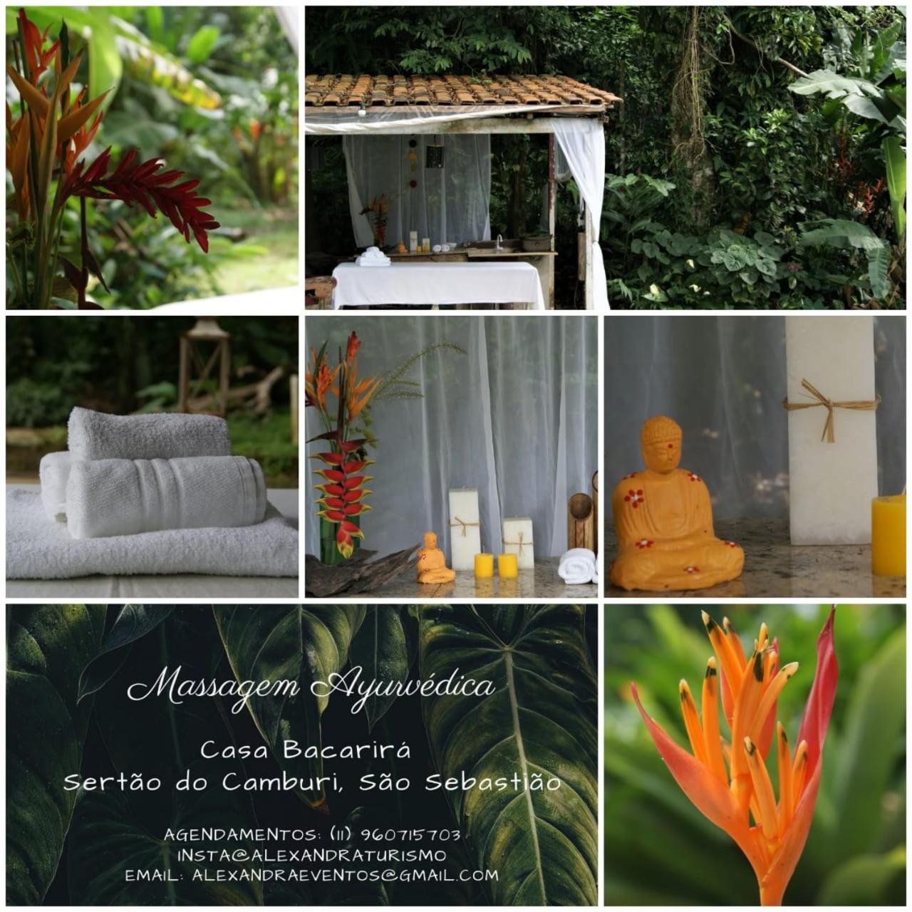 Casa Bacarirá - Floresta com Yoga e Café da Manhã Vegano
