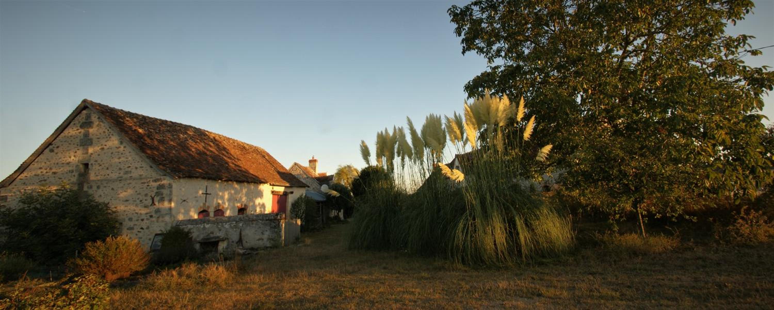 Photo 38