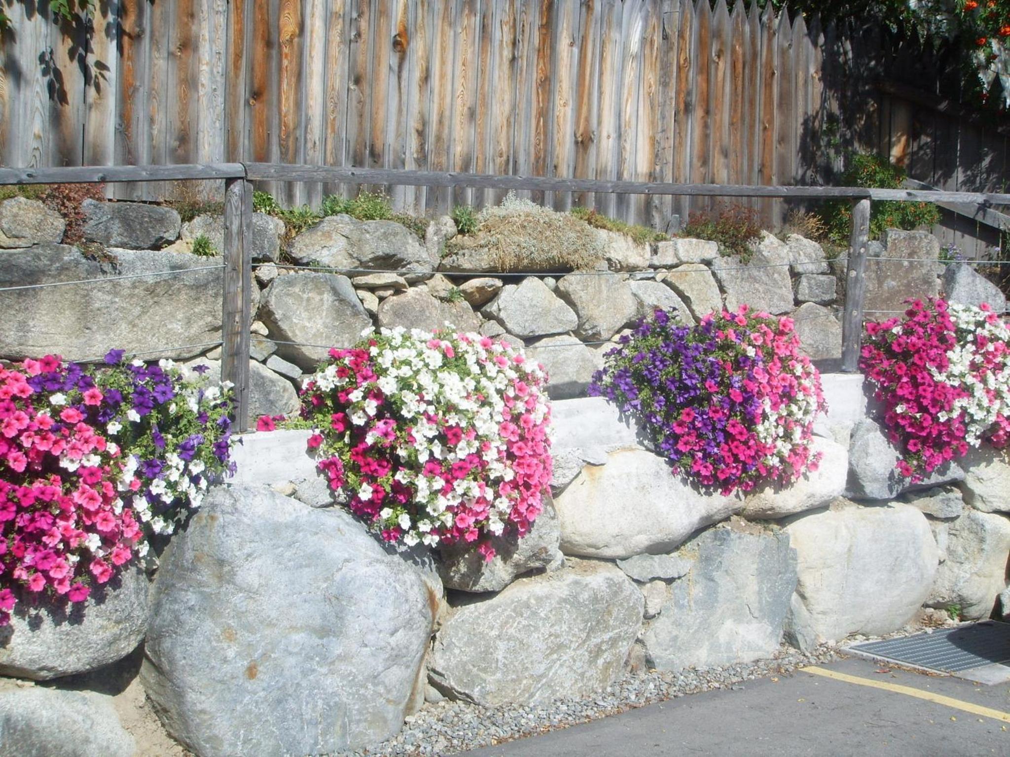Photo 41