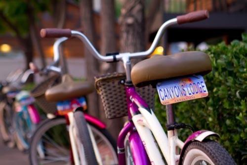 Kanab Vacations - Canyons Lodge- A Canyons Collection Property - Property Image 17