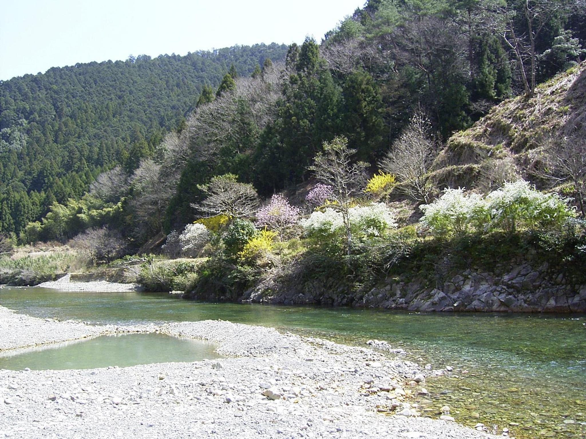 Photo 8