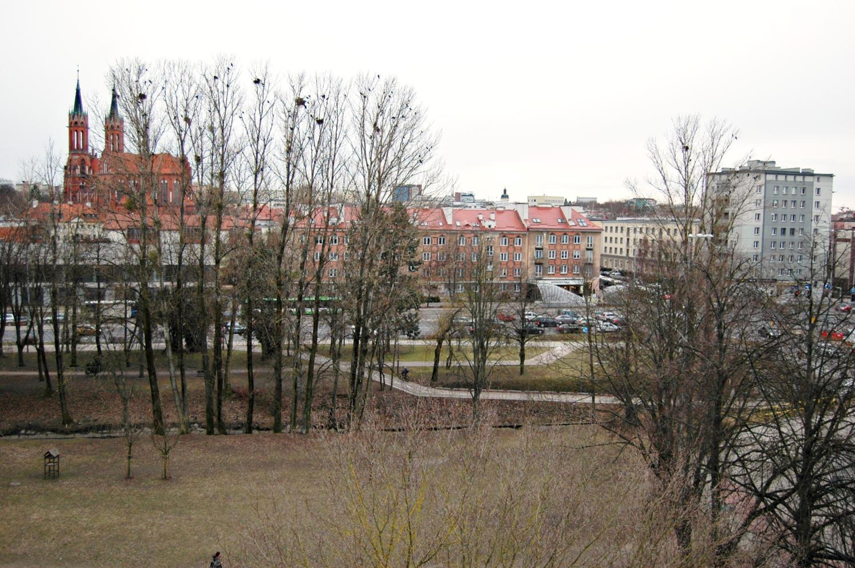 Photo 40
