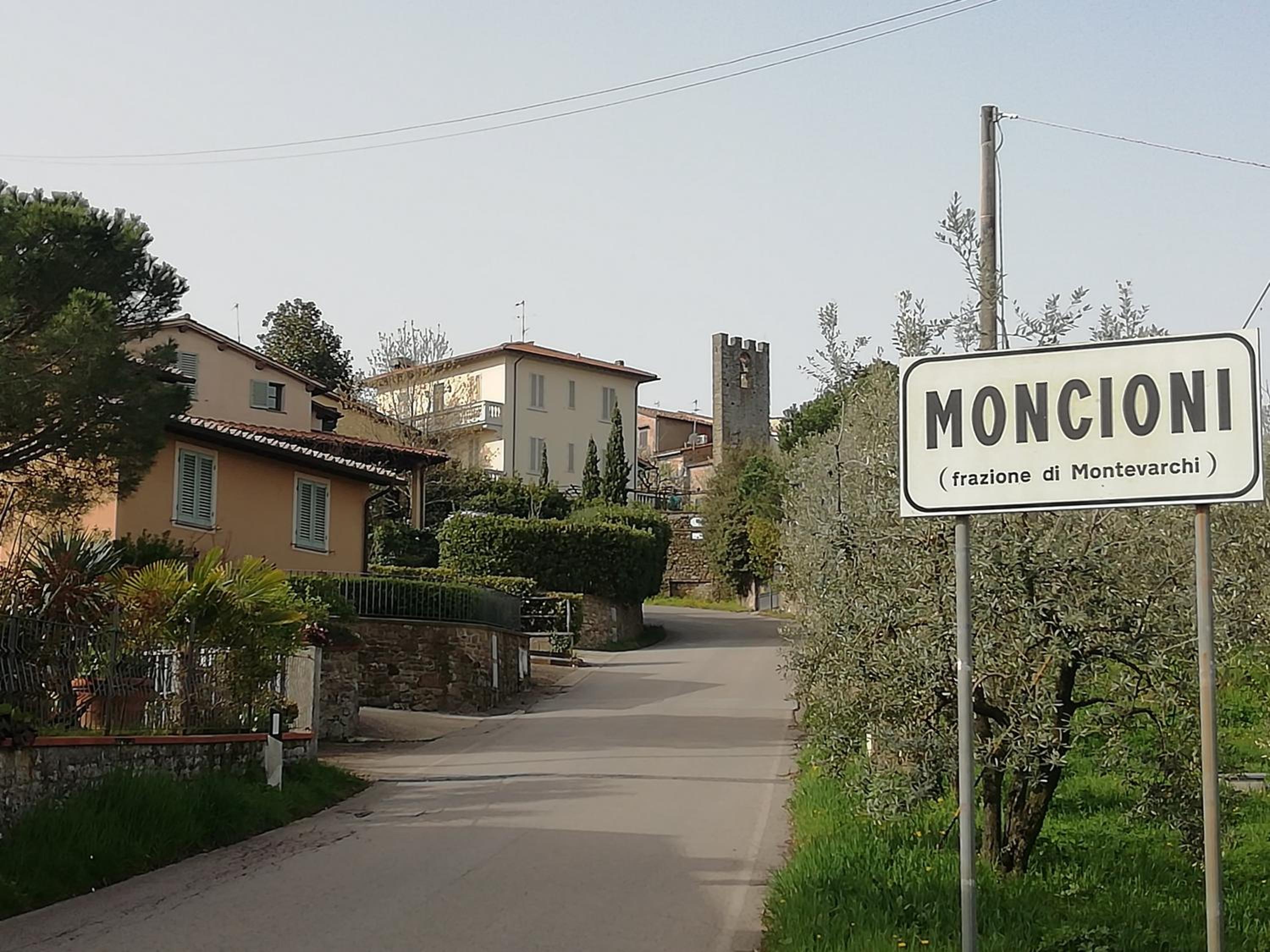 Il ghiro