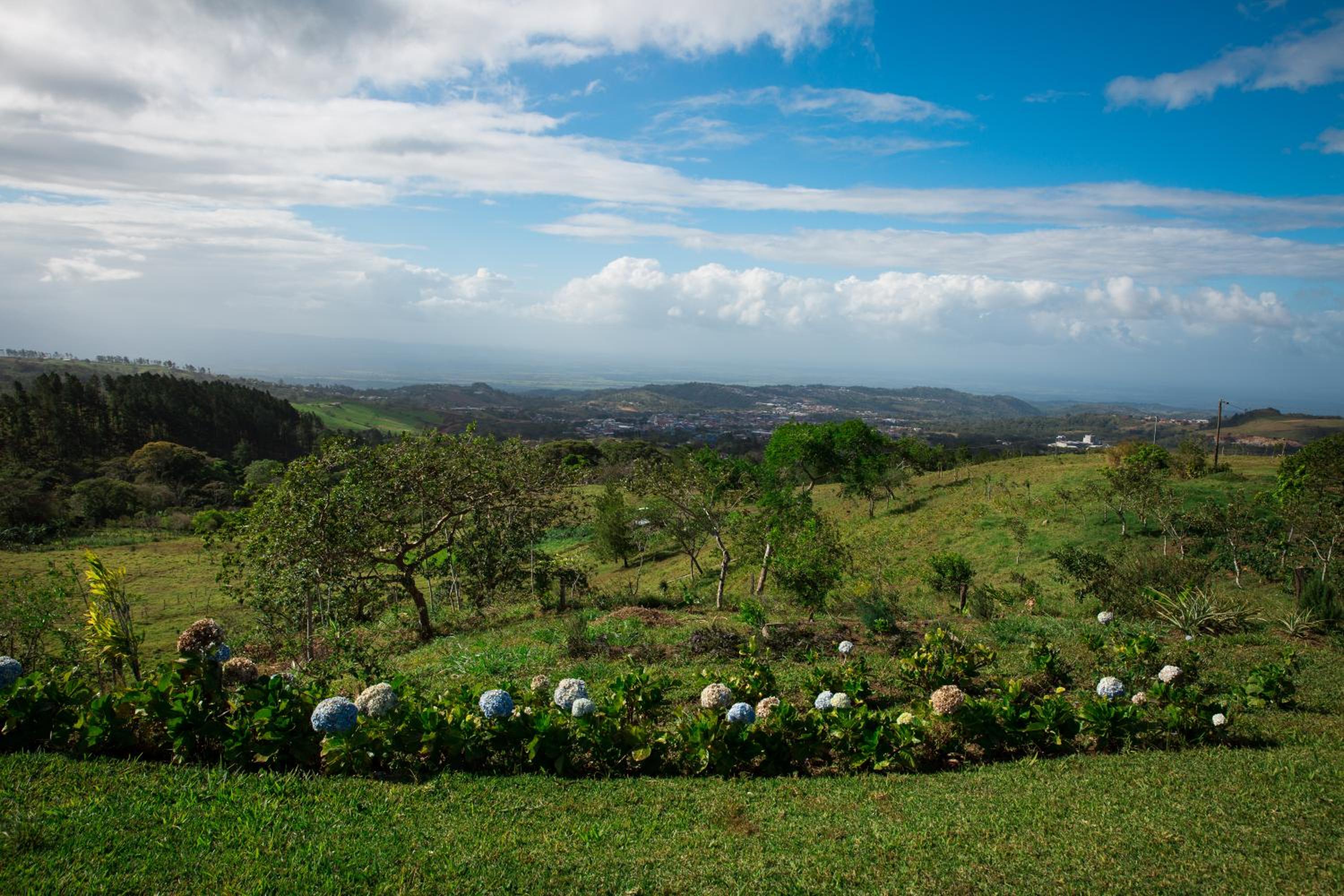 Eco Granja Don Lolo