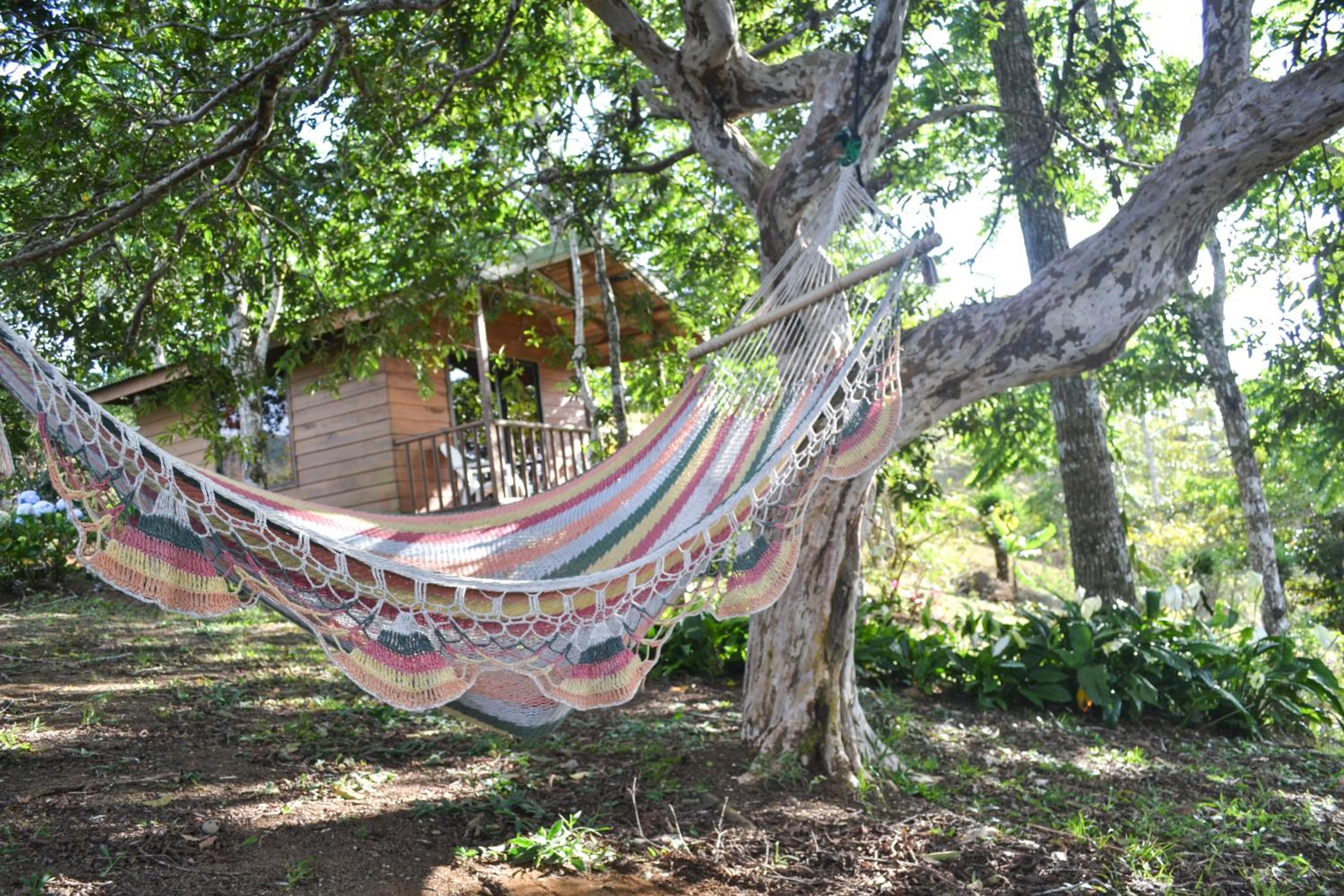 Eco Granja Don Lolo