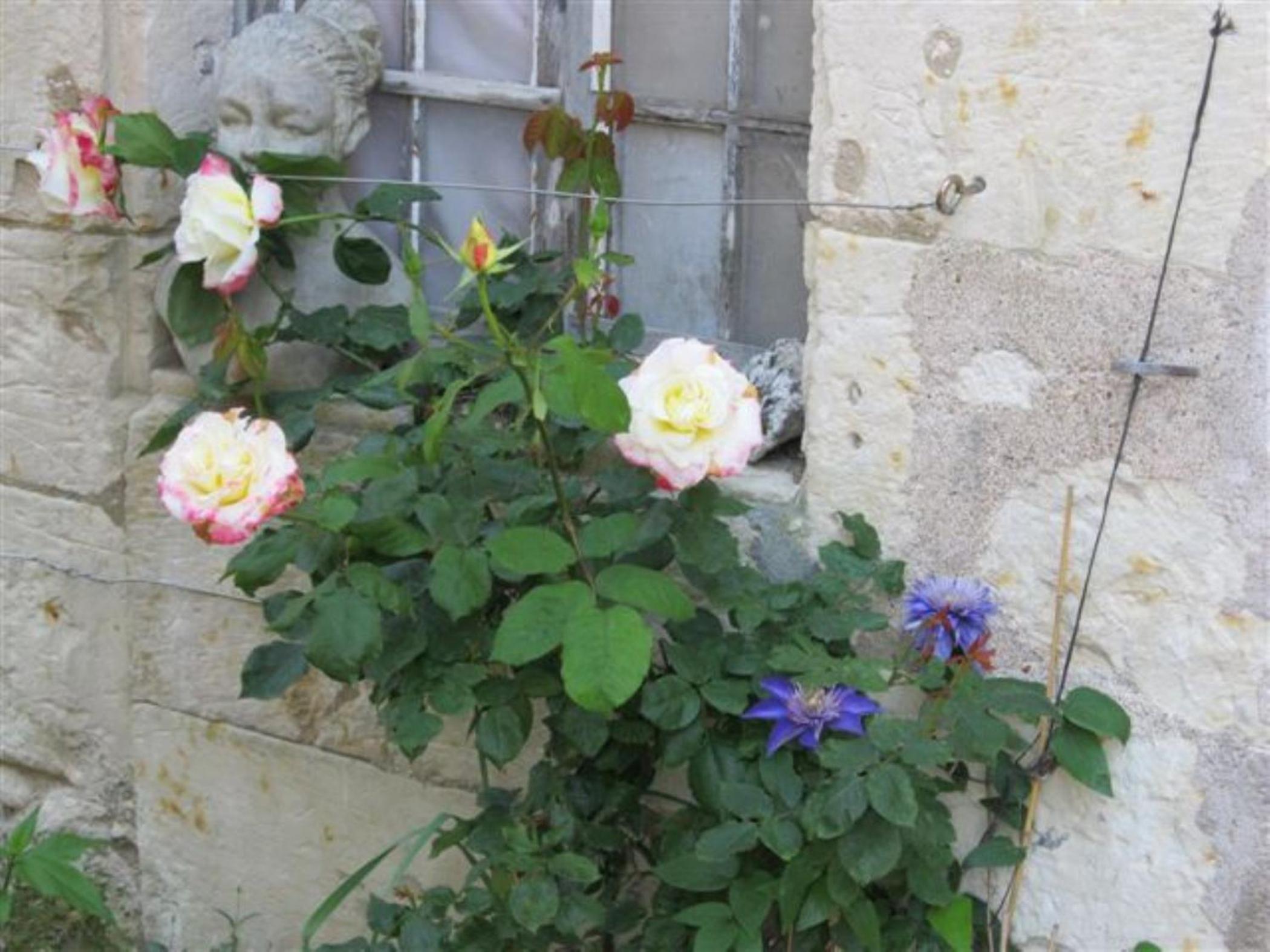 Photo 40