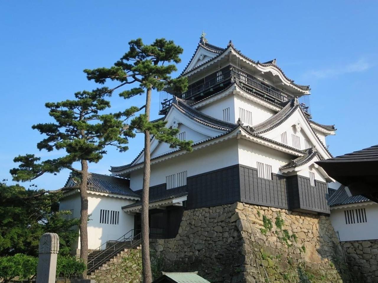 Photo 12