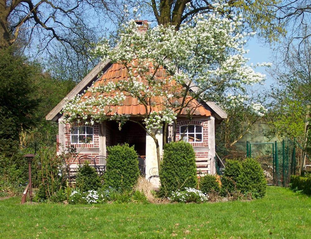 Haus