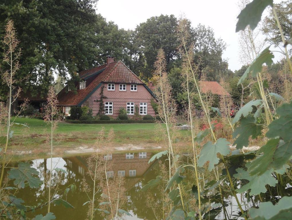 Haus