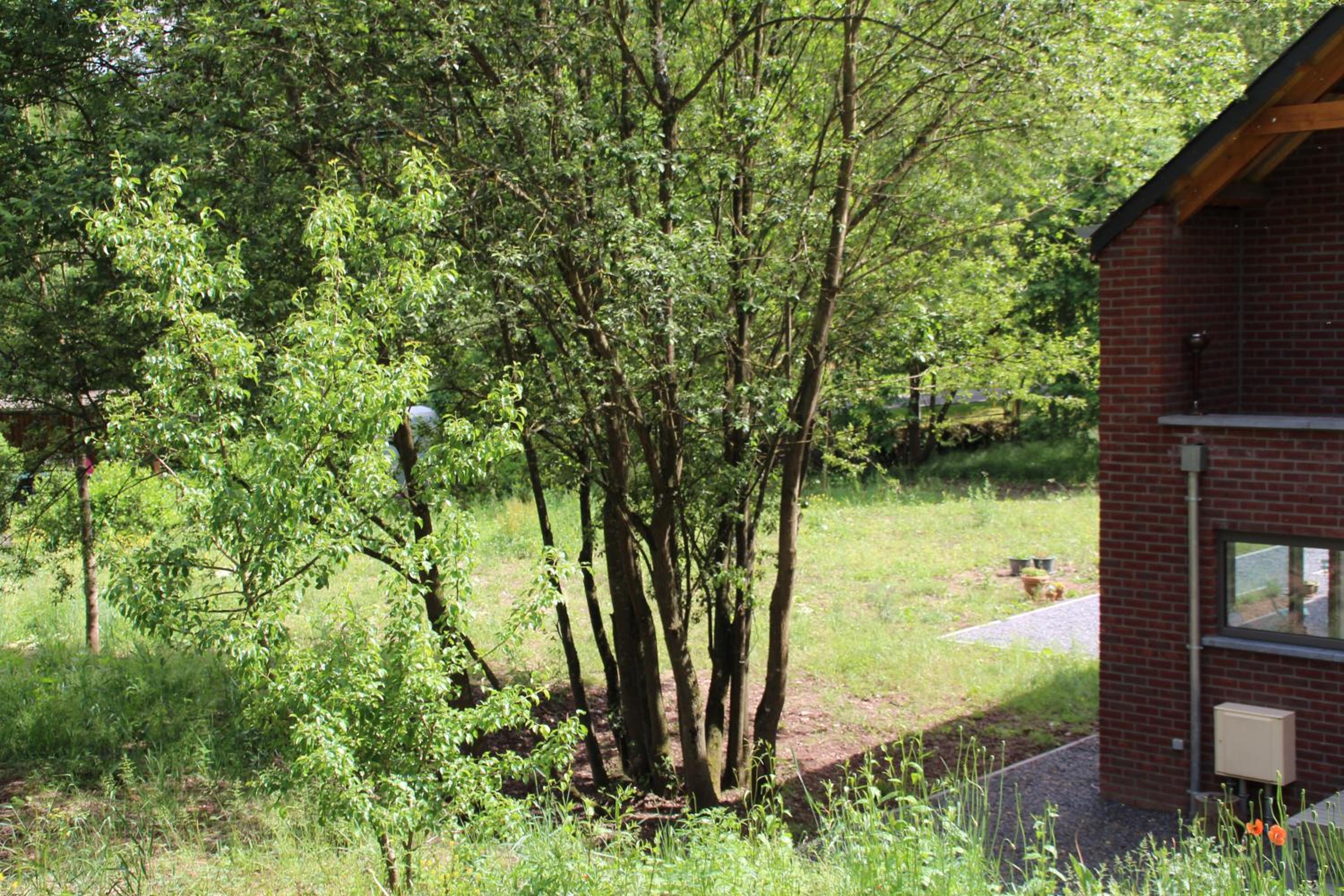 B&B Les Lits de Nohaipré, Foto 53