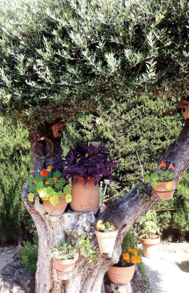 Photo 18
