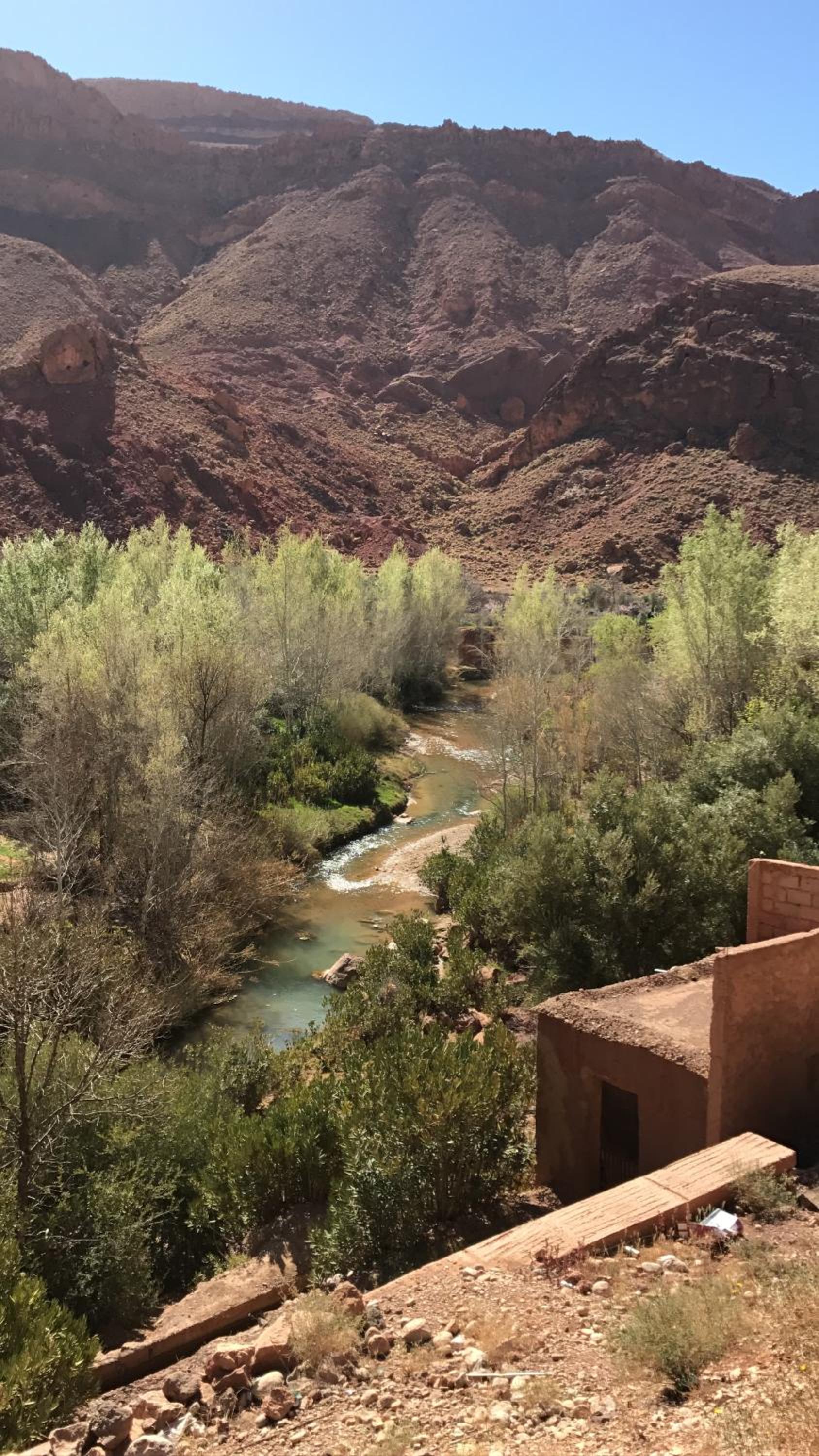 Auberge Restaurant Zahra view 3