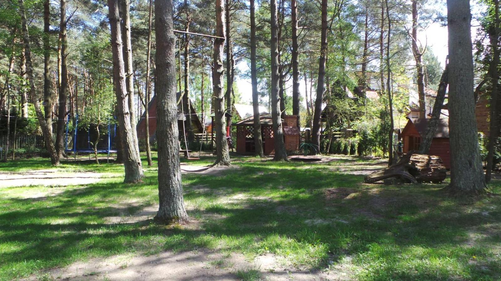 Apartamenty Leśne Tarasy view 4