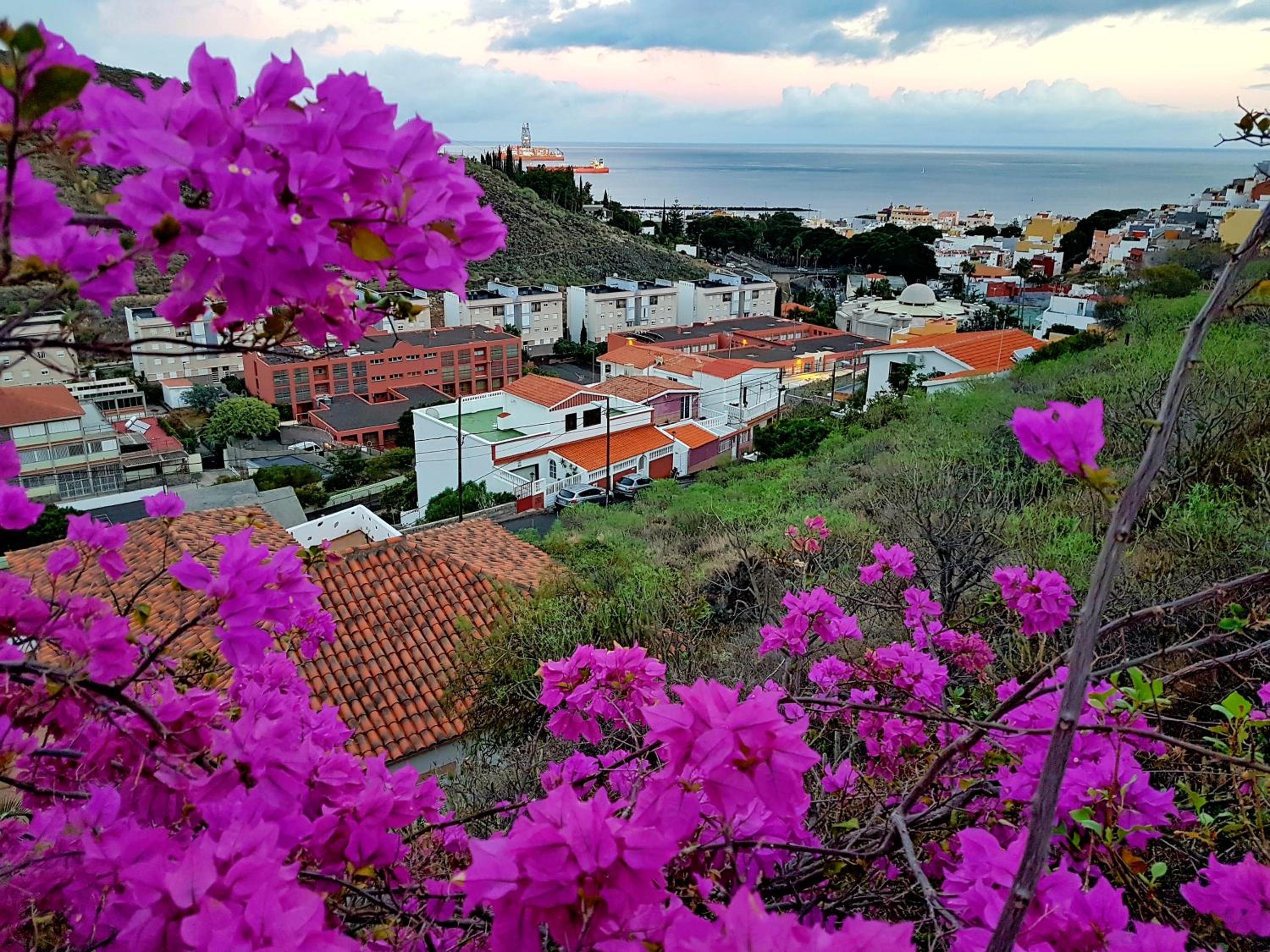 Las Teresitas Apartment