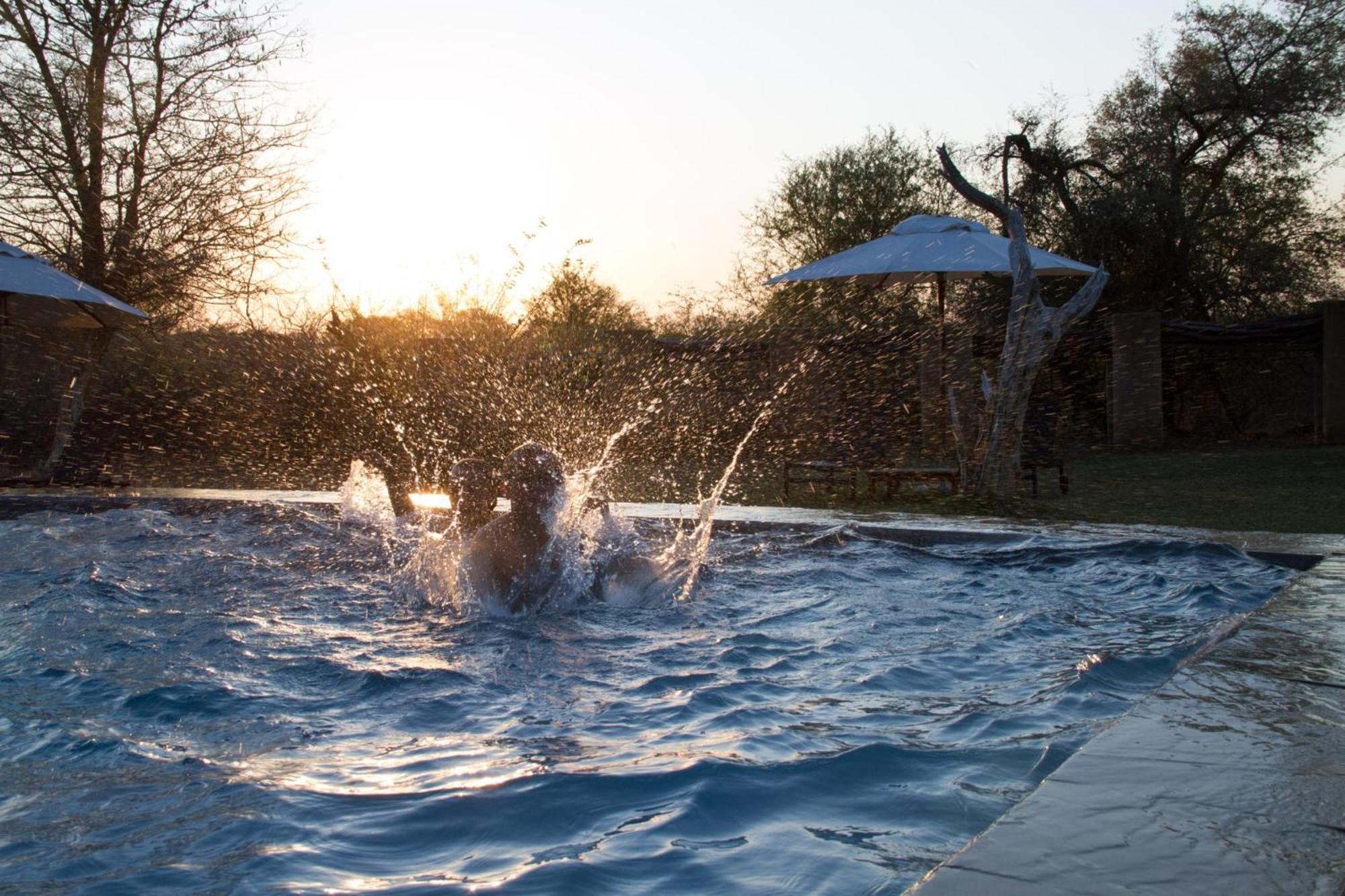 Marataba Safari Lodge