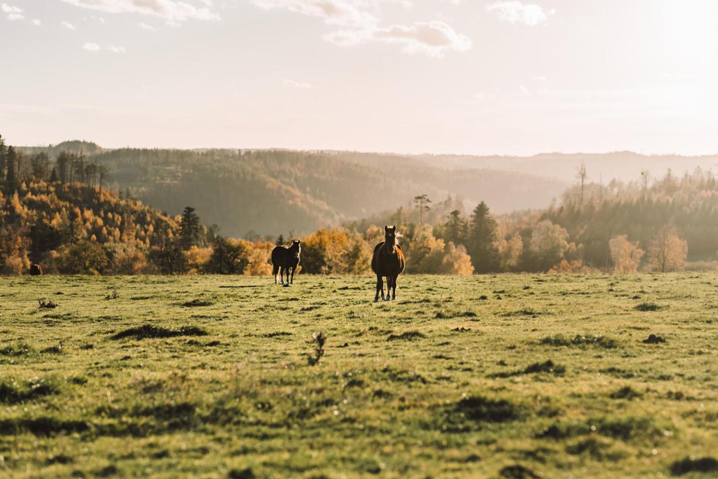 Farma Klokočov