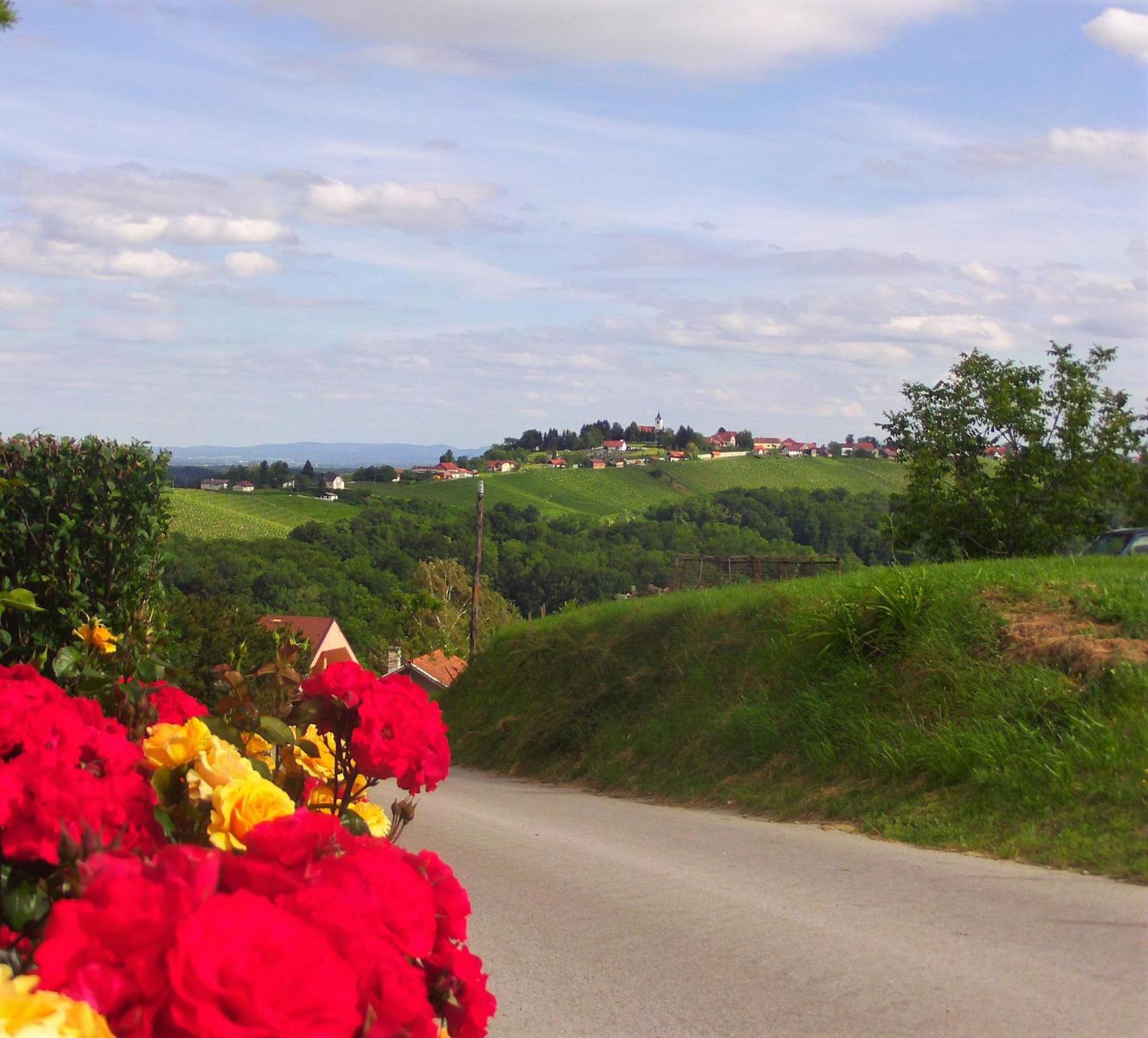 POČITNIŠKA HIŠA KOG view 3