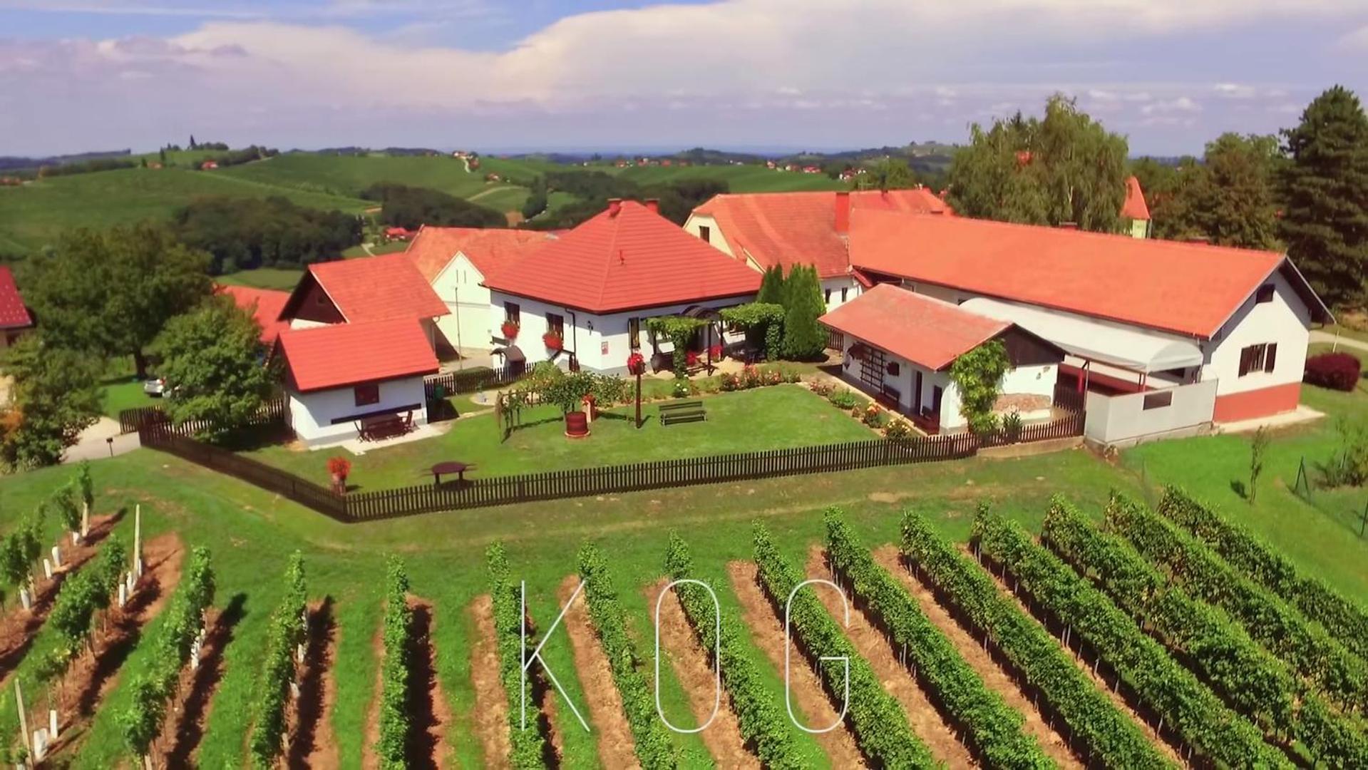 POČITNIŠKA HIŠA KOG view 4