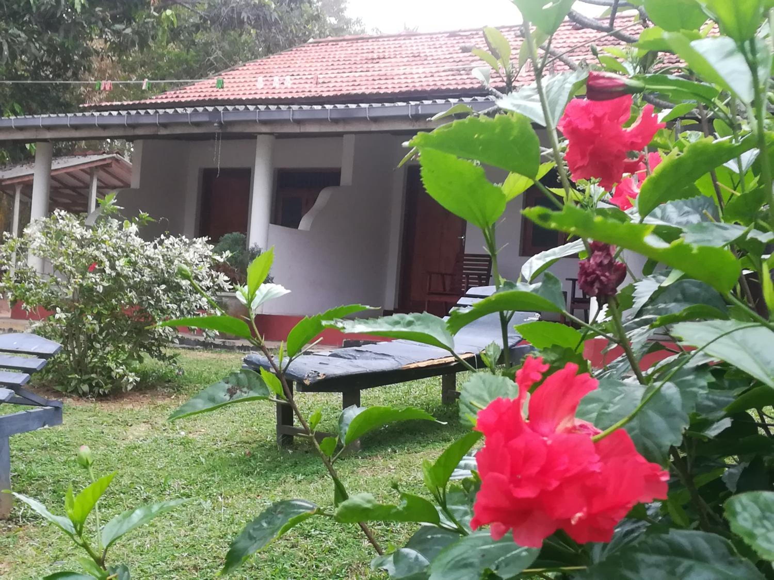Star beach hotel