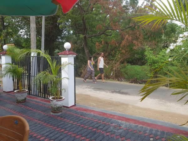 Photo 21