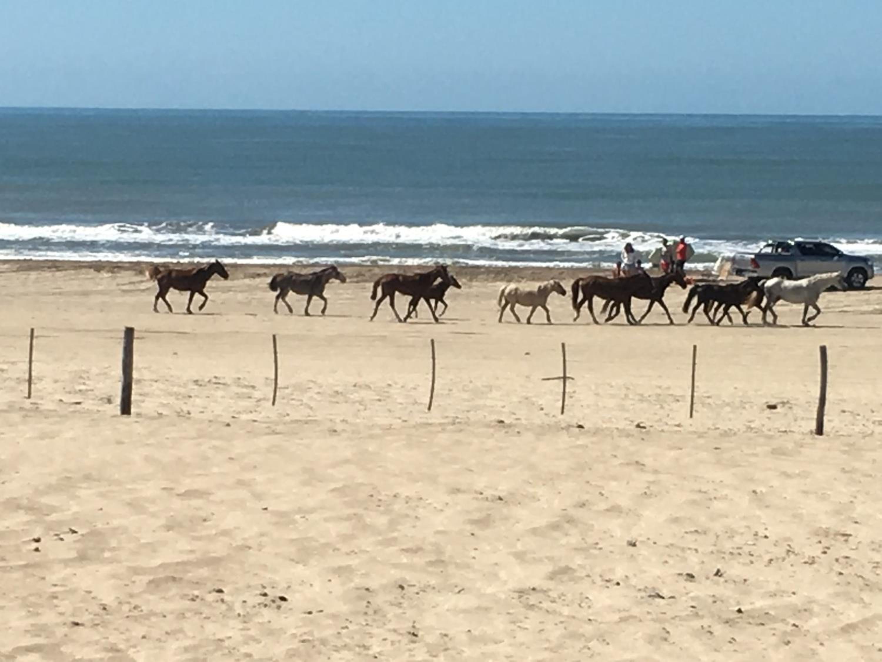 Chacras del Mar