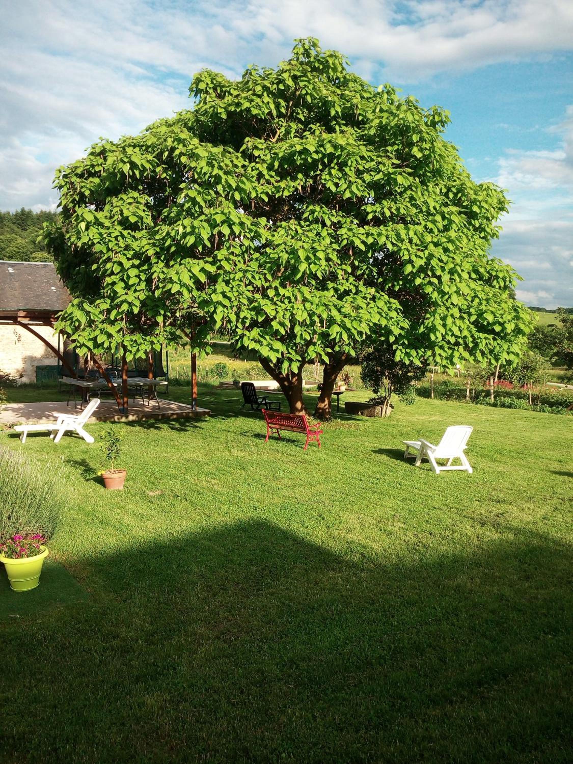 Photo 23