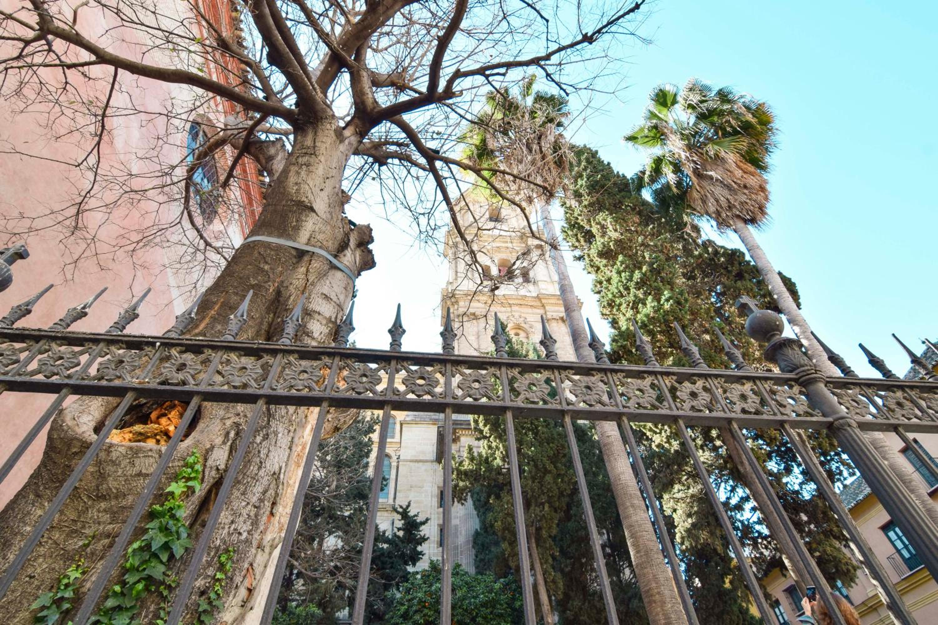 Suite Premium - Cathedral of Malaga