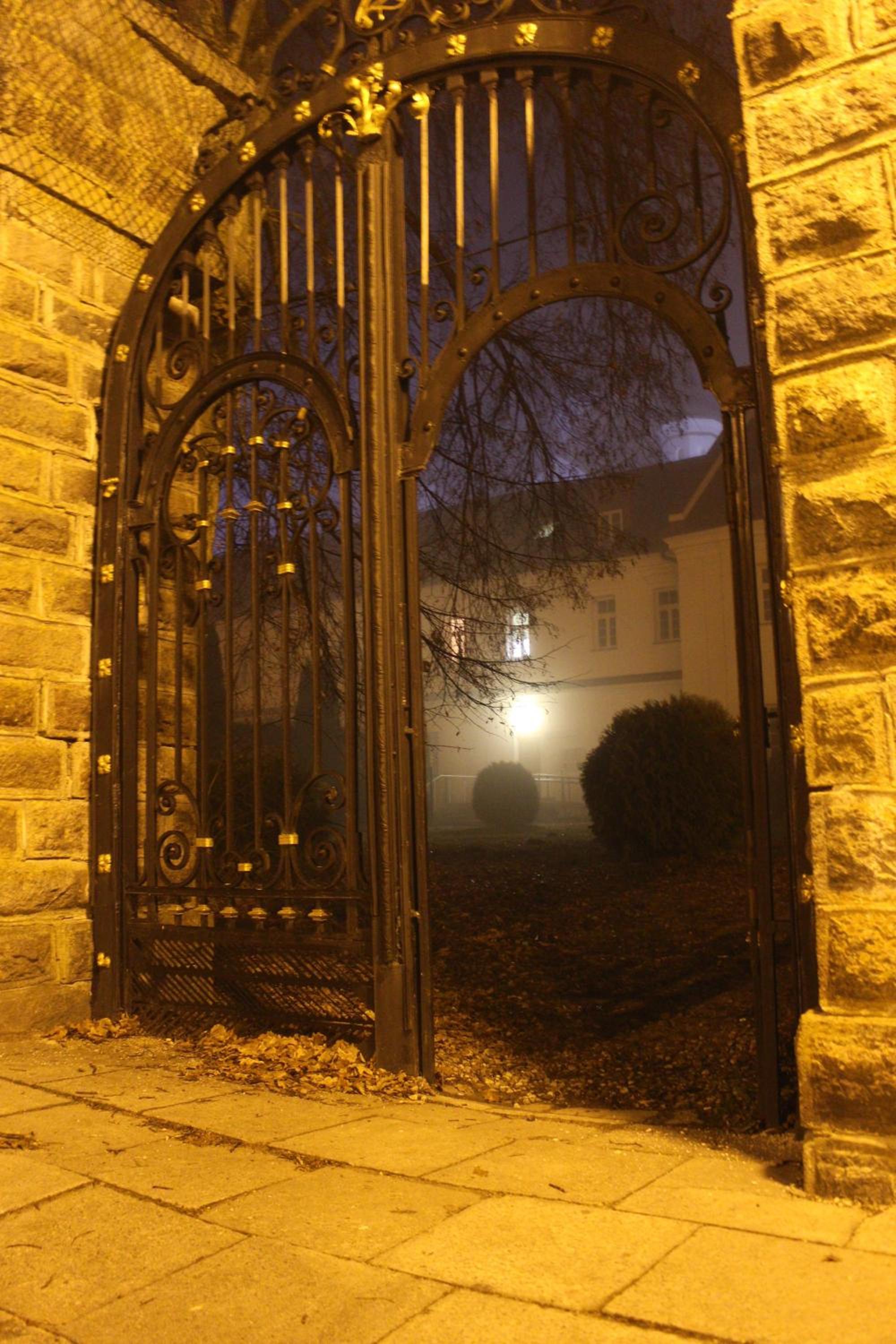 Photo 14