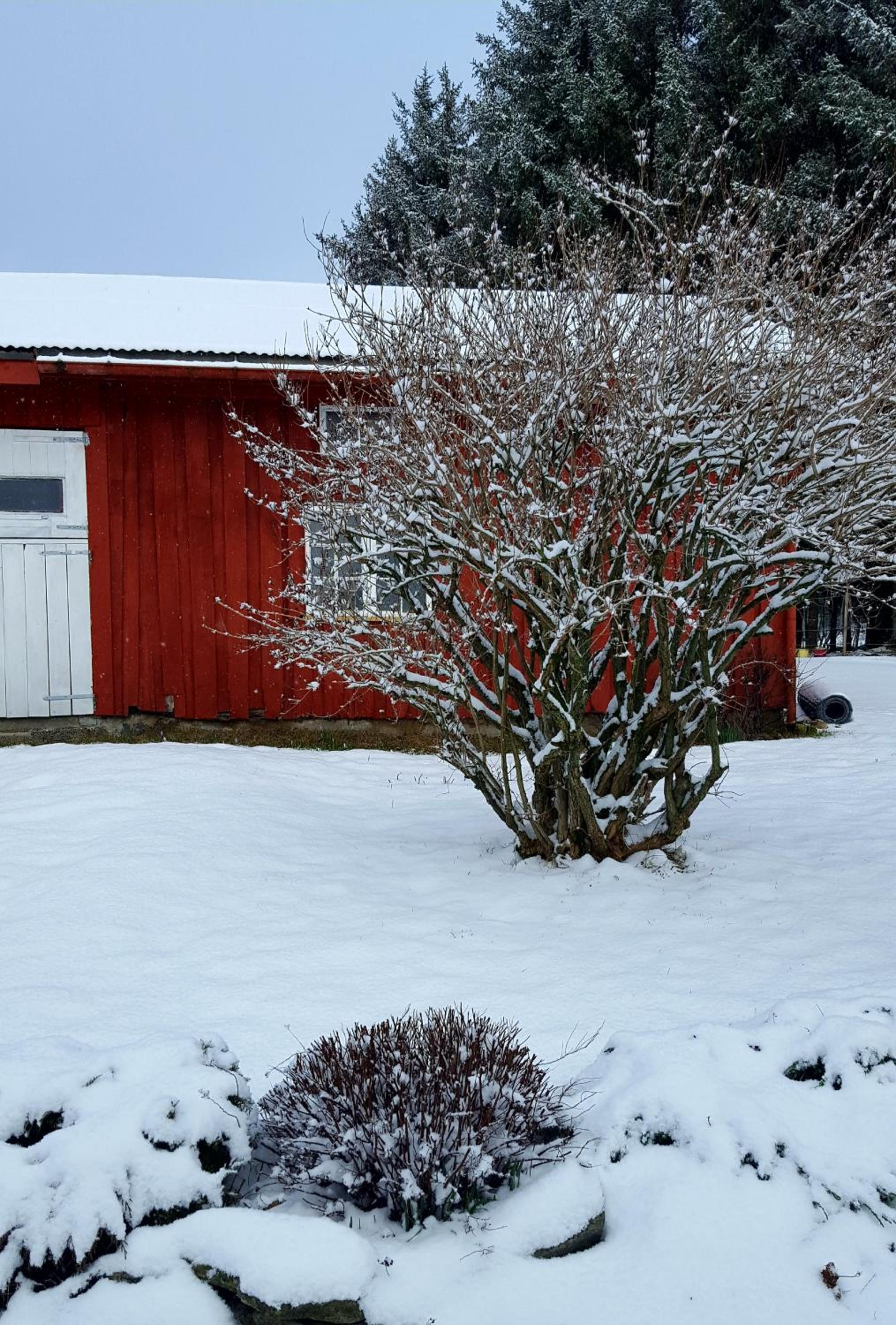 Kjørsvik Øvre view 4