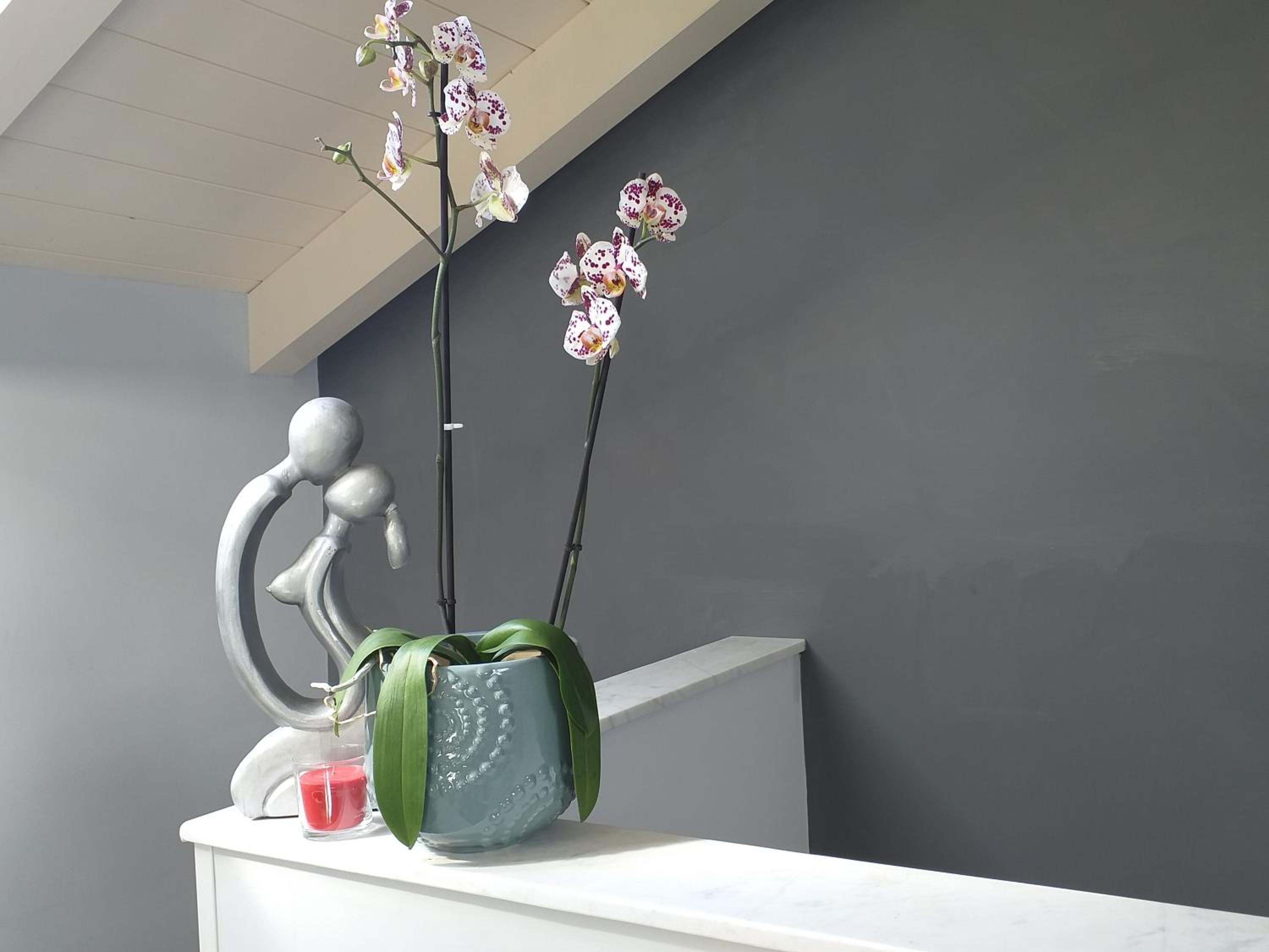 Room73 photo 5