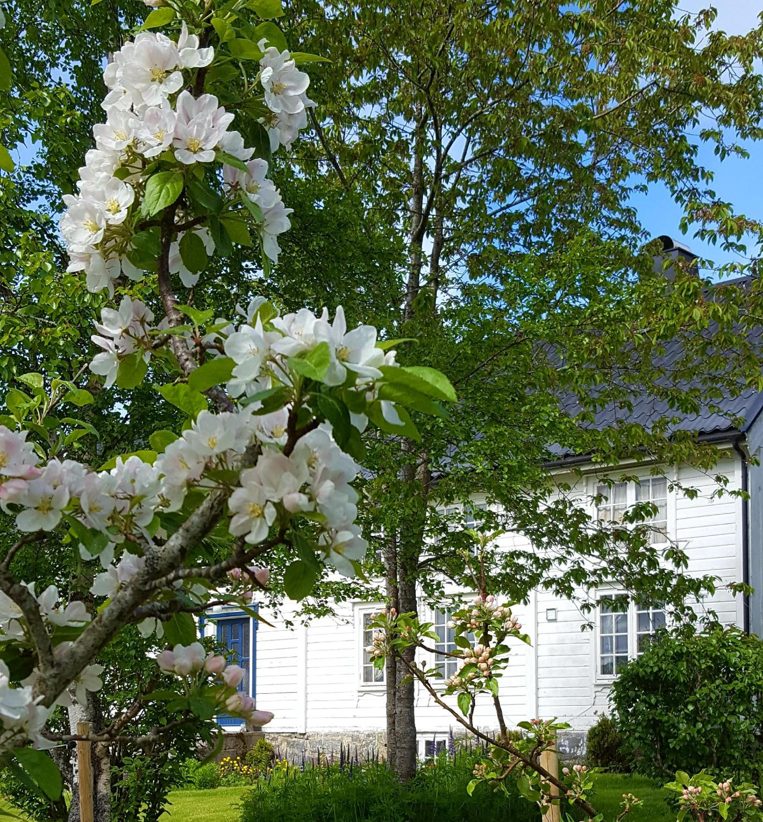 Kjørsvik Øvre view 3